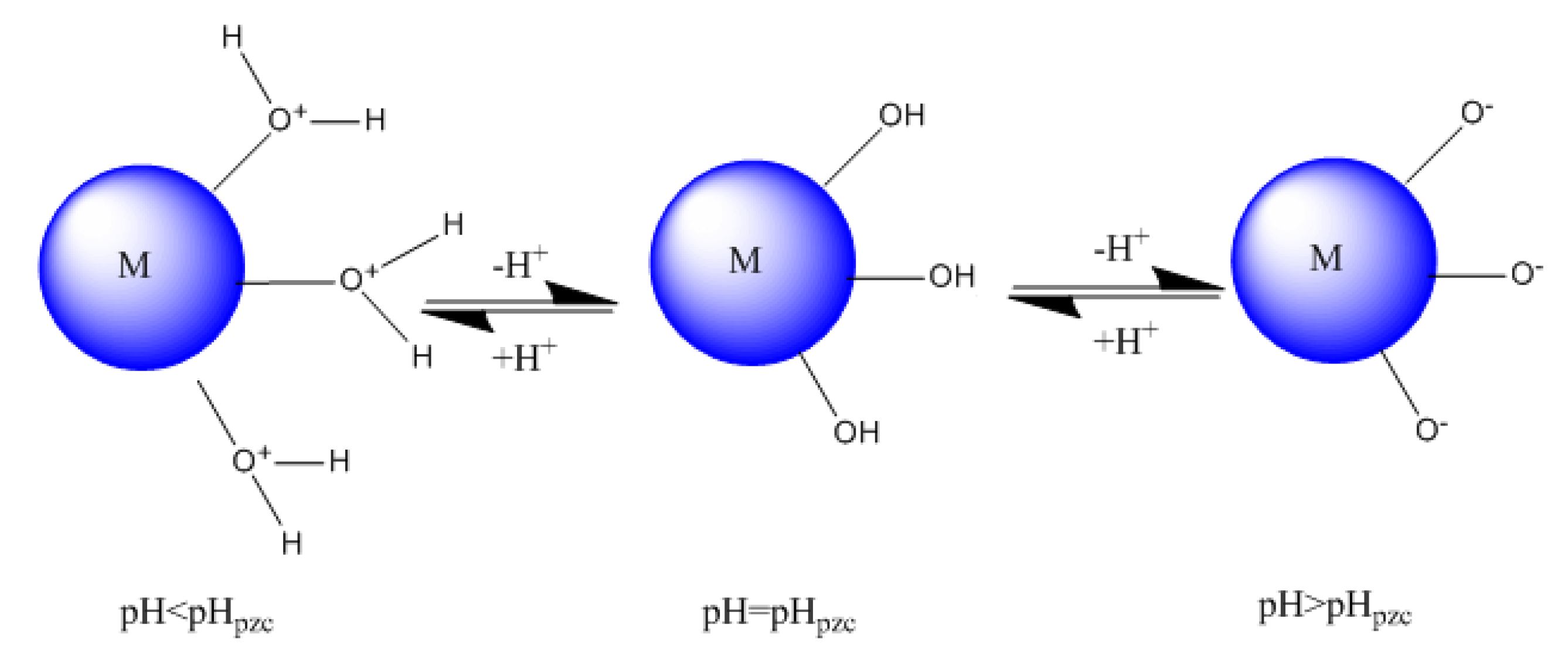 Polymers 14 02147 g011 550