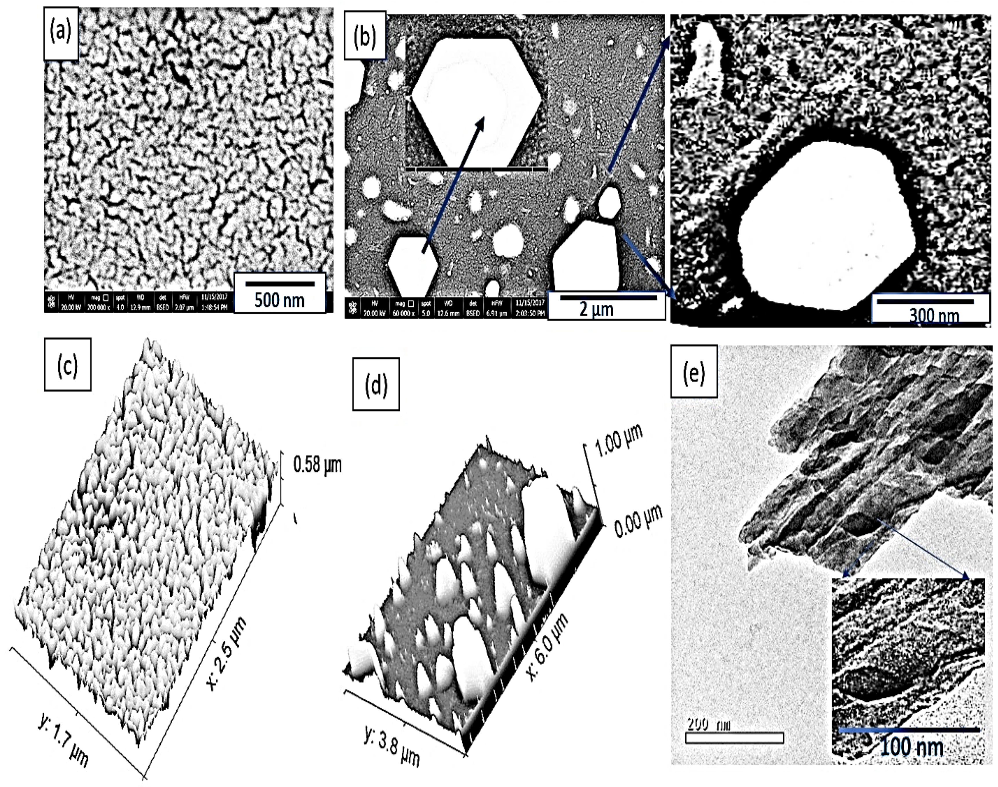 Polymers 14 02148 g002 550