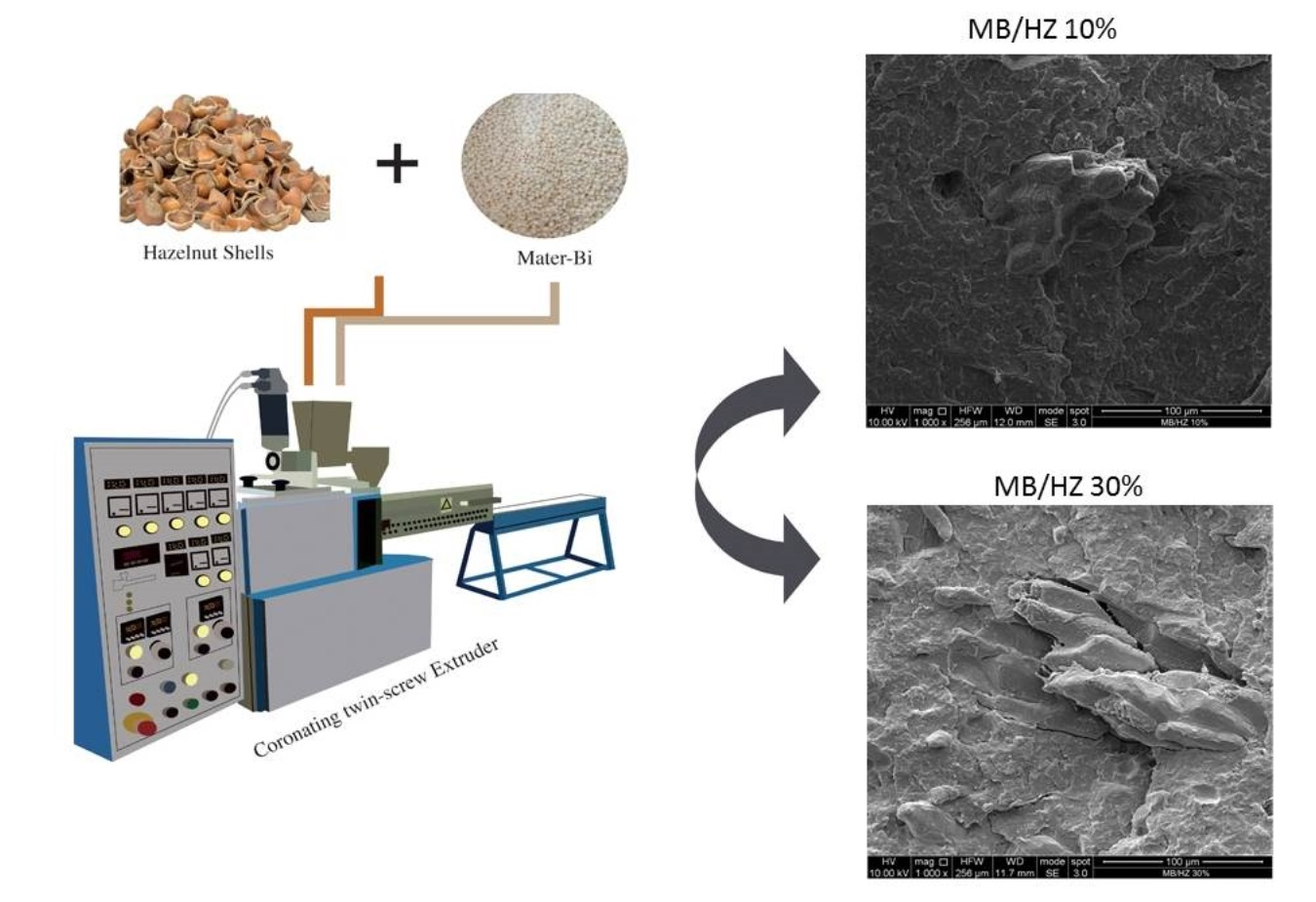 Polymers Free FullText The Use of Waste Hazelnut Shells as a