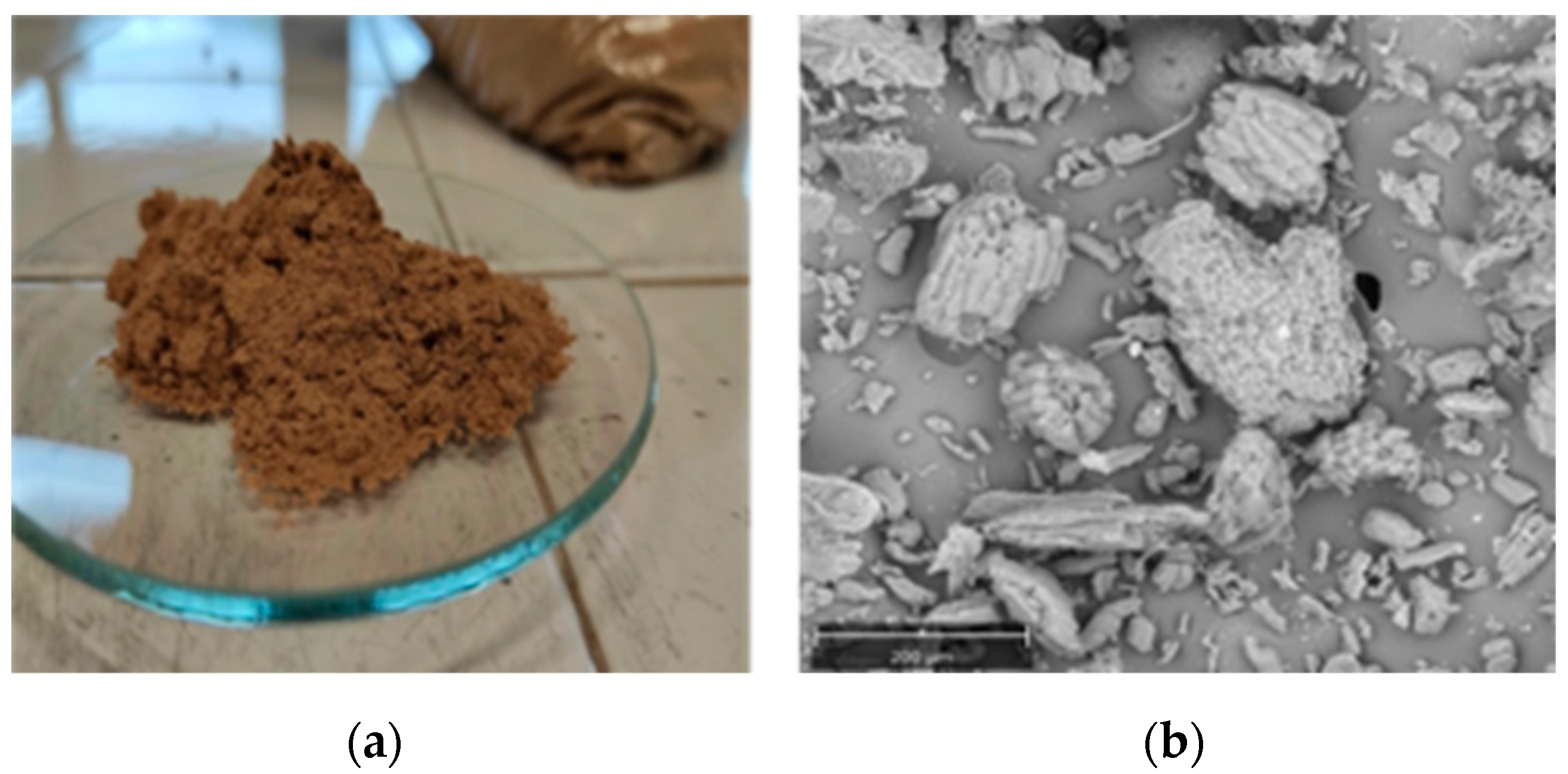 Polymers 14 02151 g001 550