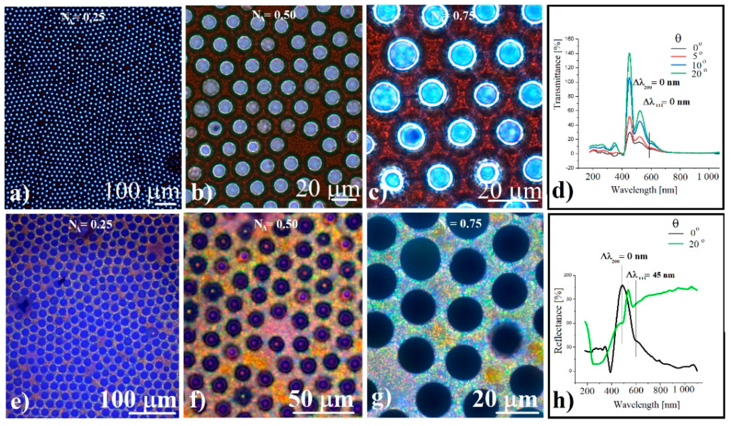 Polymers 14 02158 g004 Polymers 14 02158 g004