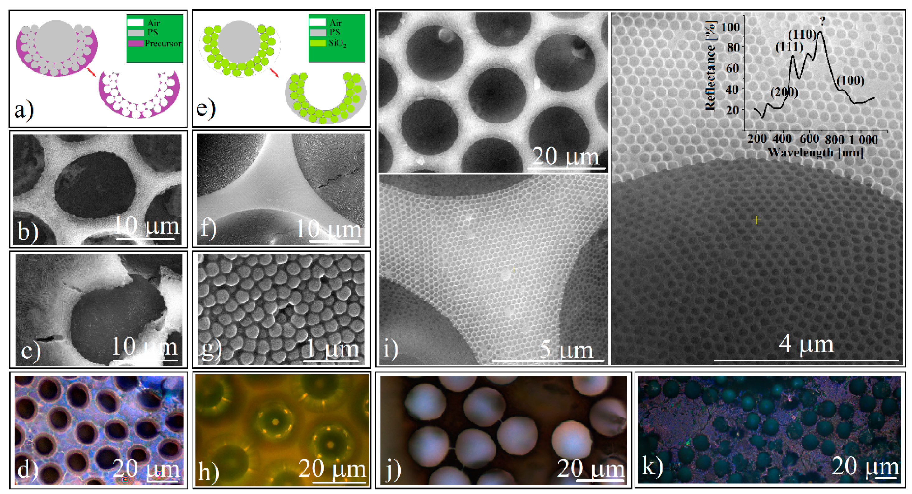 Polymers 14 02158 g005 Polymers 14 02158 g005