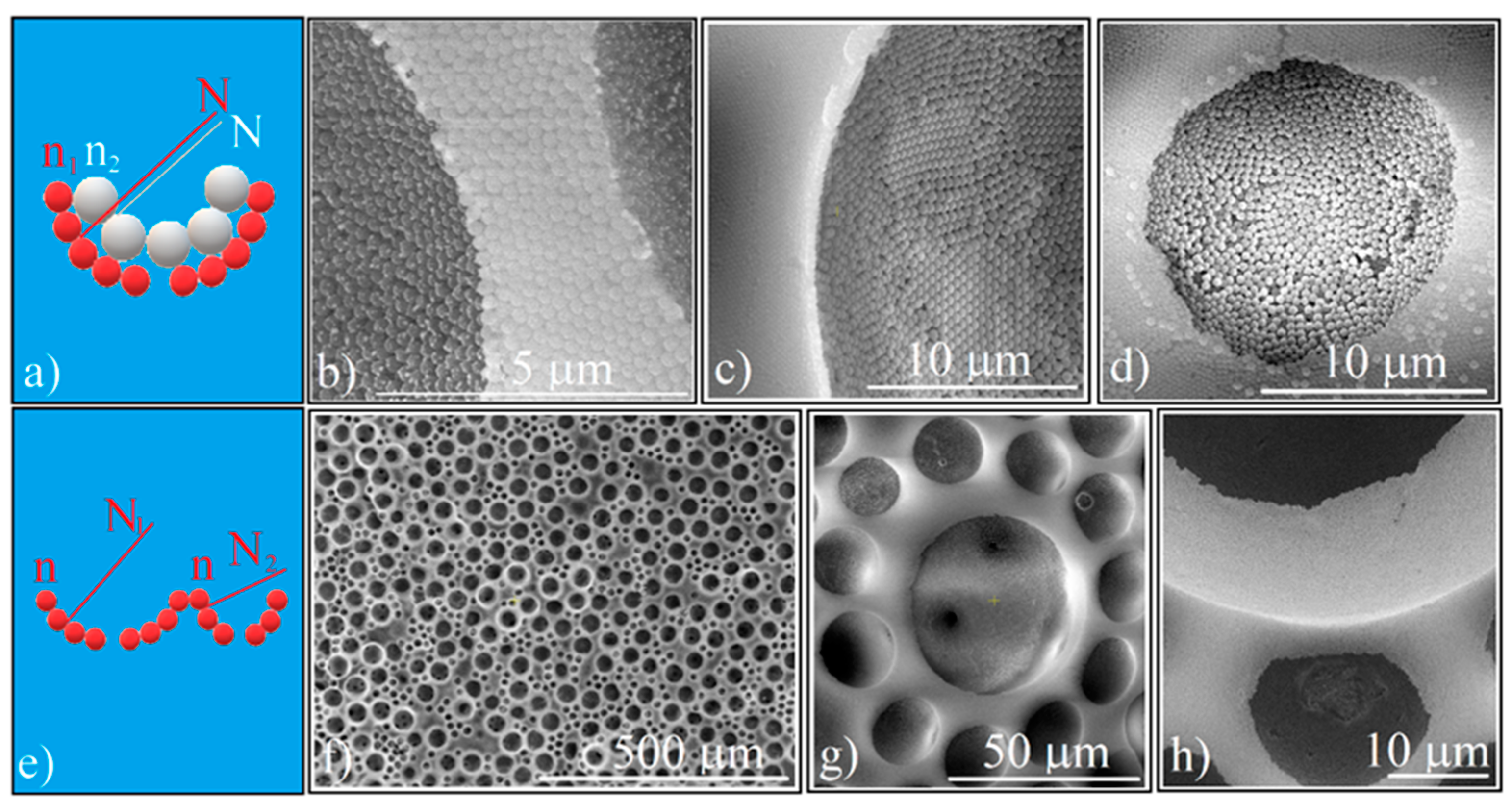 Polymers 14 02158 g006 Polymers 14 02158 g006