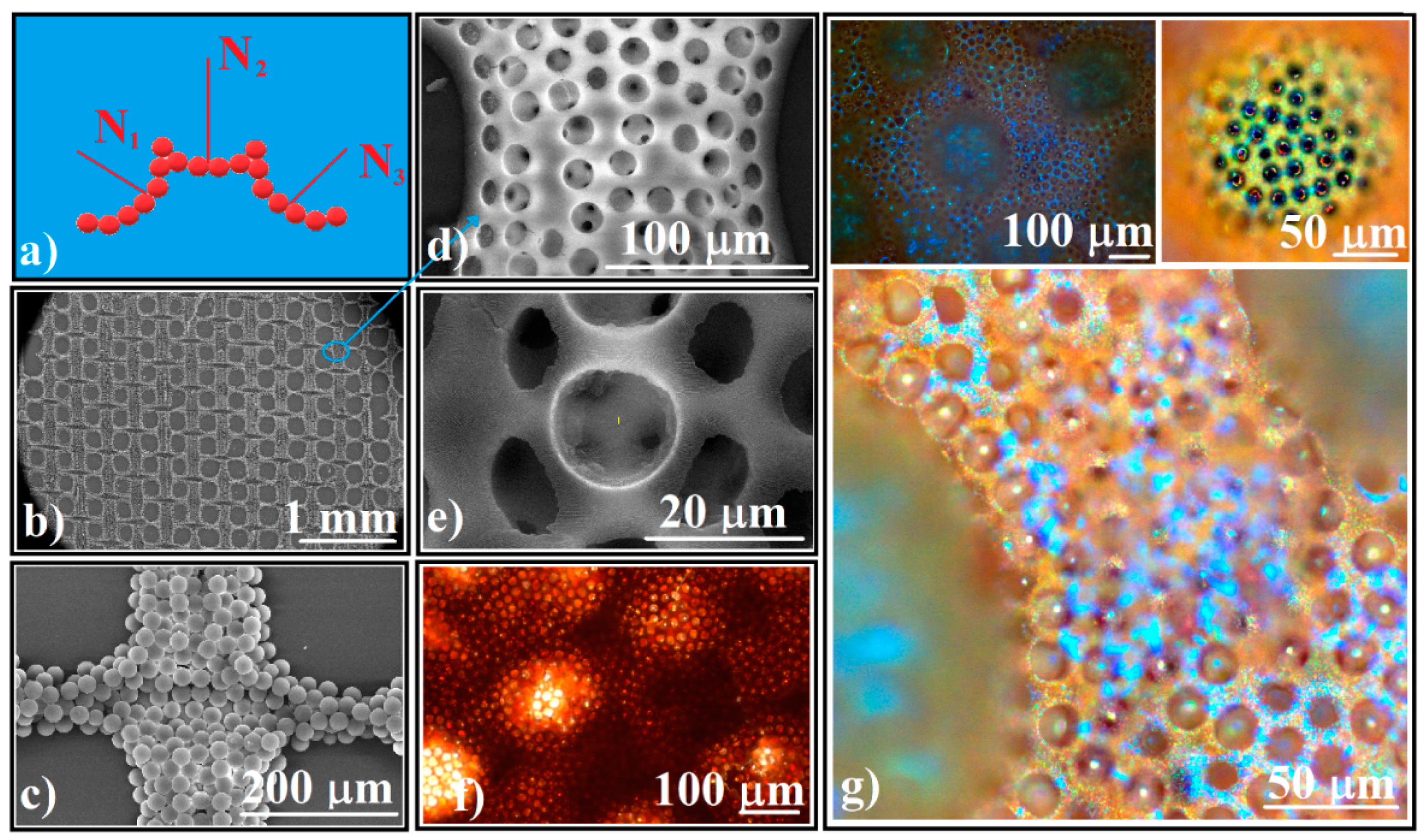 Polymers 14 02158 g007 Polymers 14 02158 g007