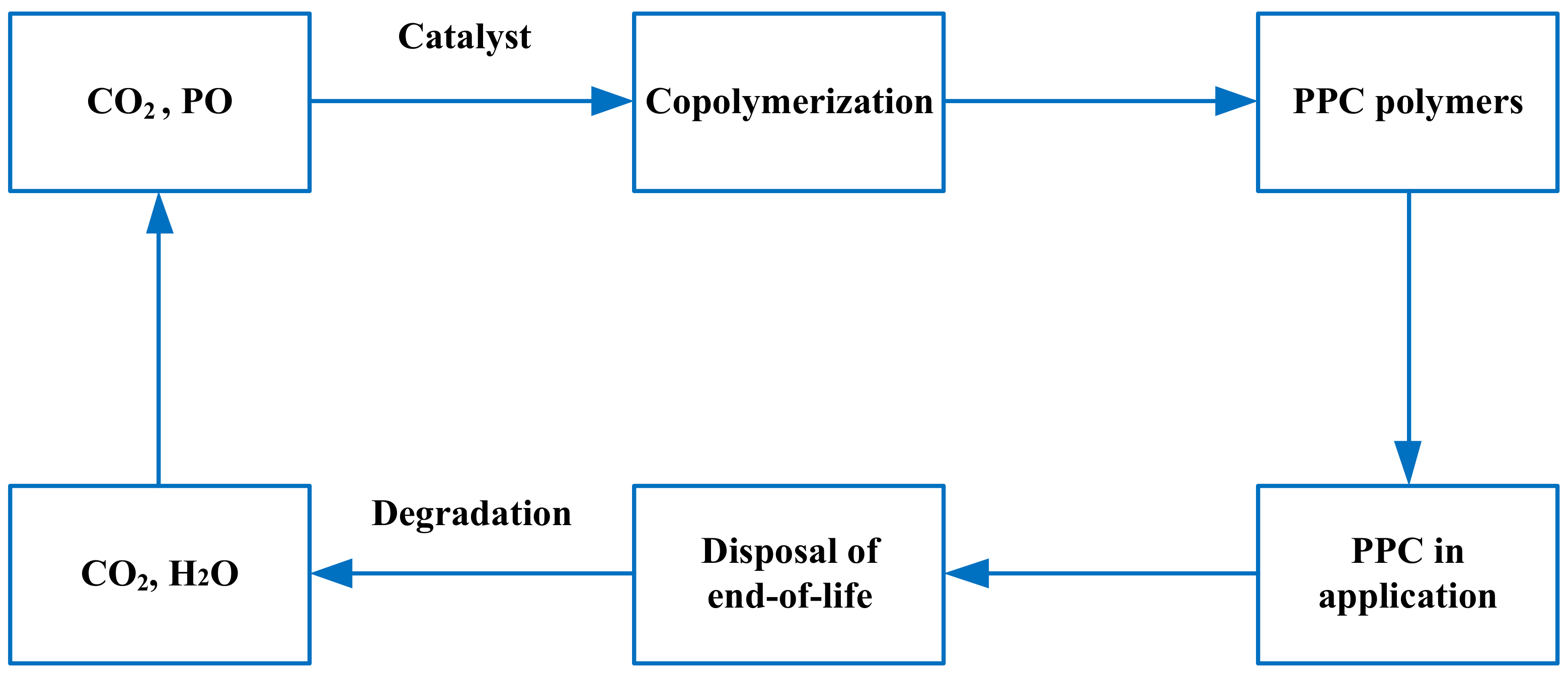 Polymers 14 02159 g004