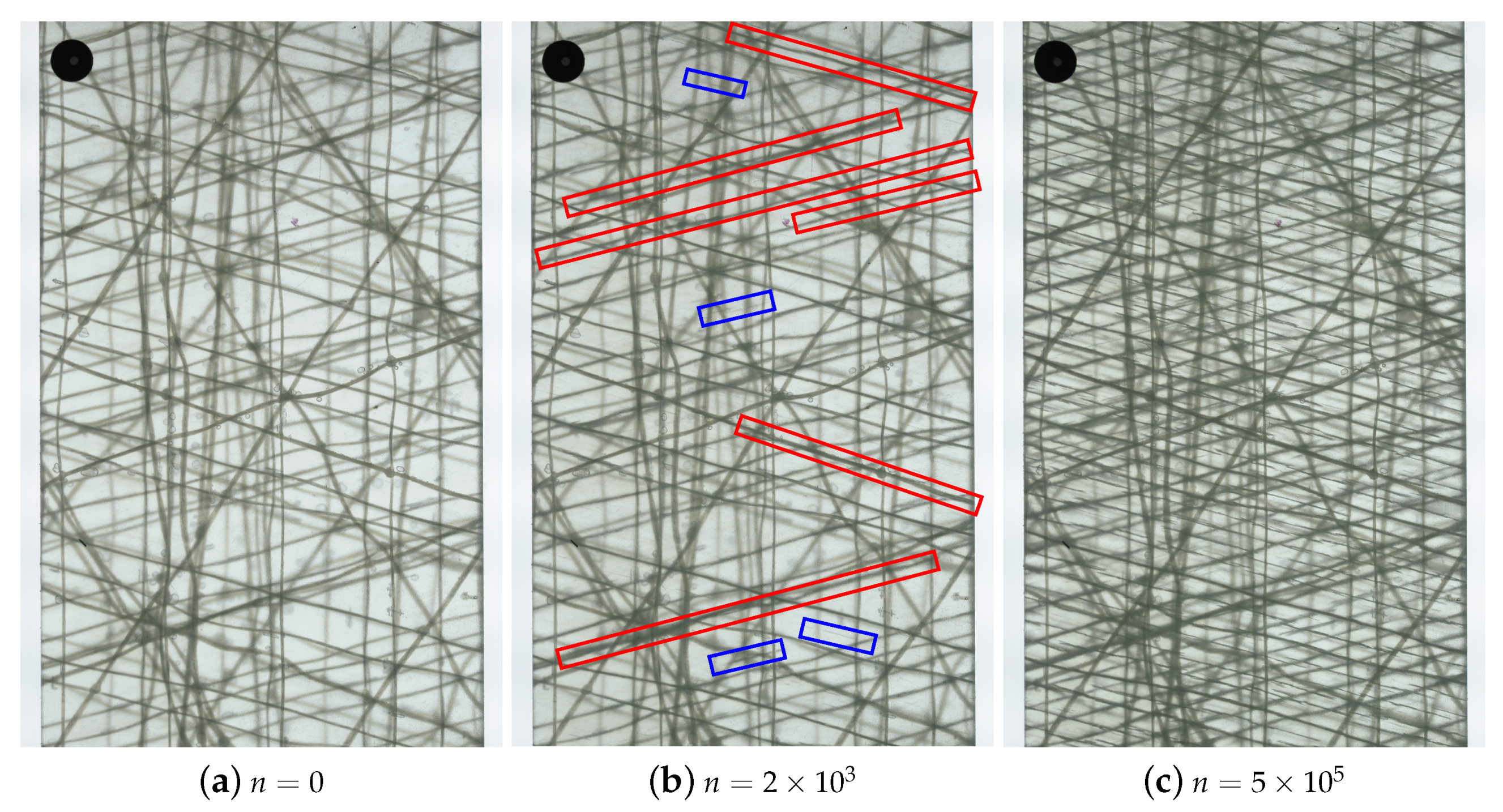 Polymers 14 02160 g004 550