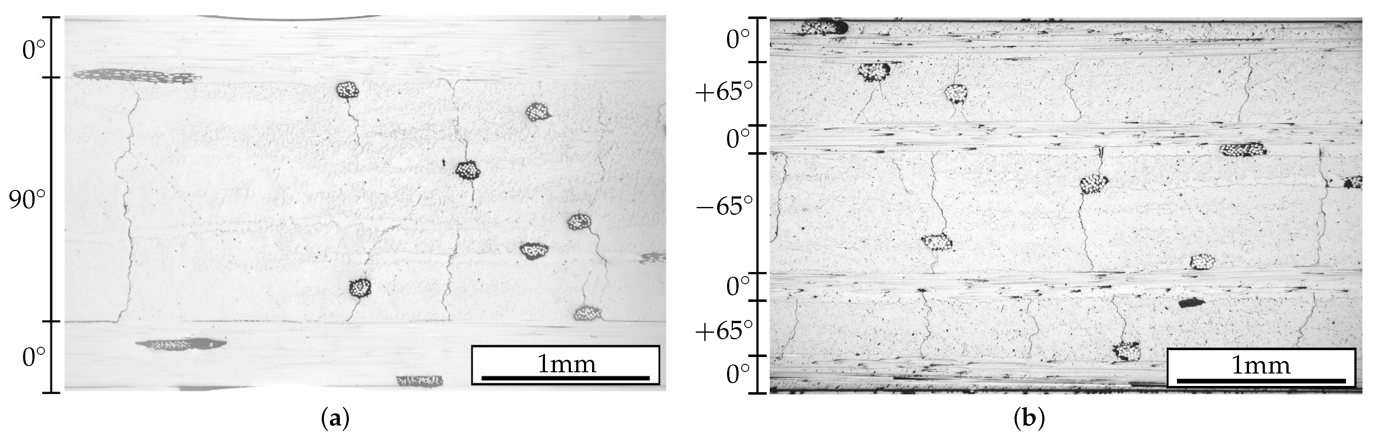 Polymers 14 02160 g006 550
