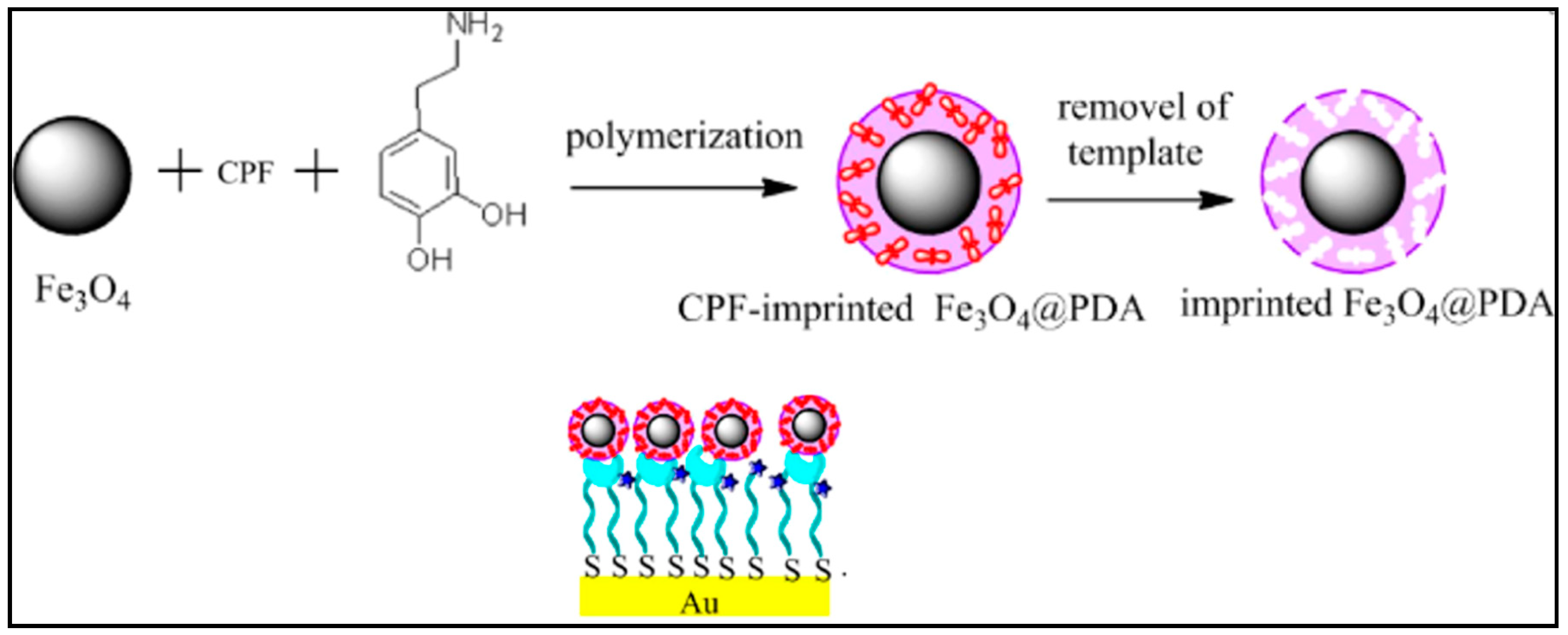 Polymers 14 02164 g003