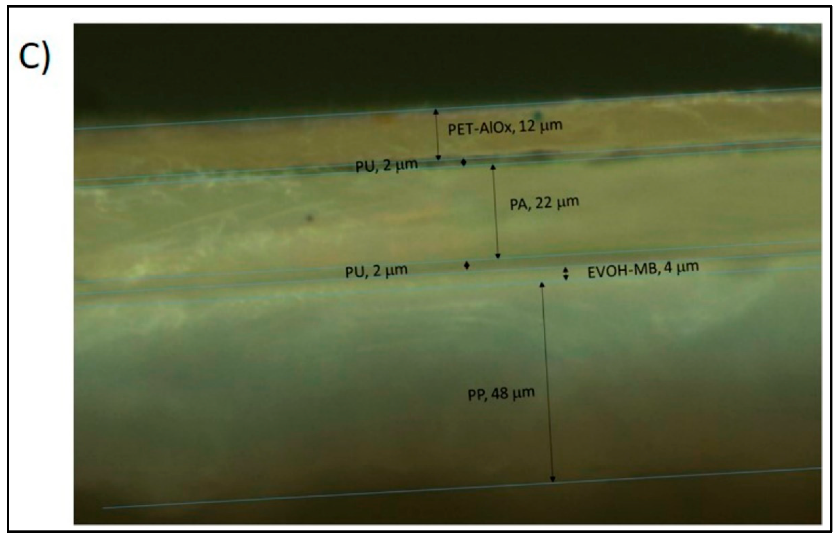 Polymers 14 02164 g009b