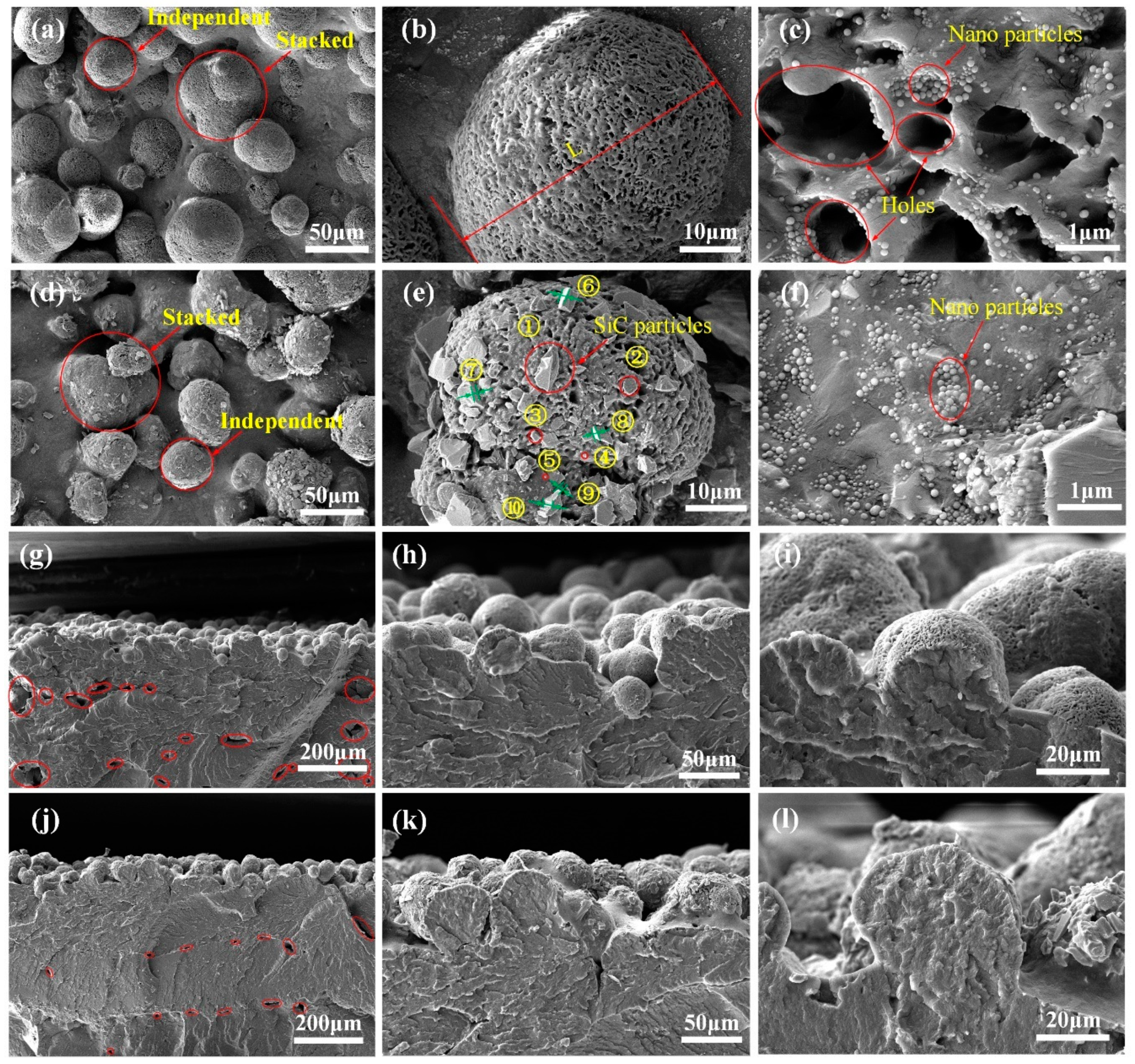 Polymers 14 02167 g002