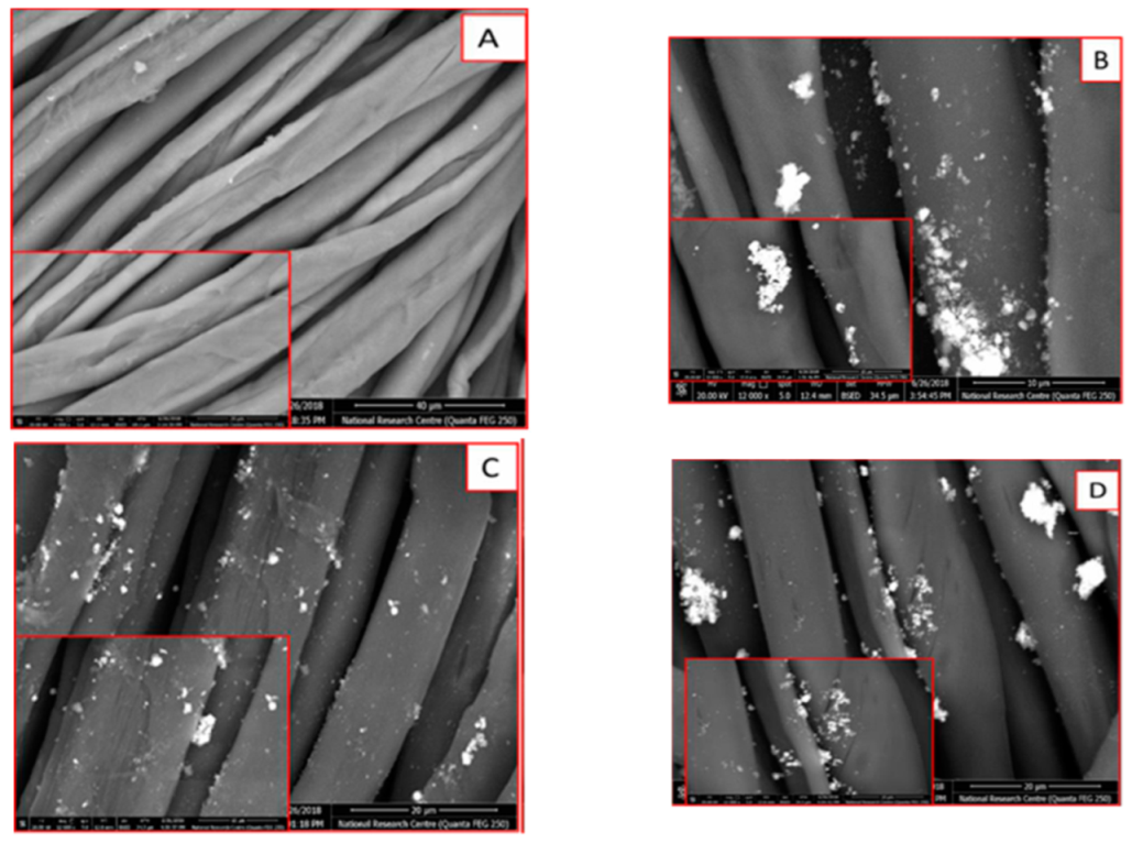 Polymers 14 02168 g006 550