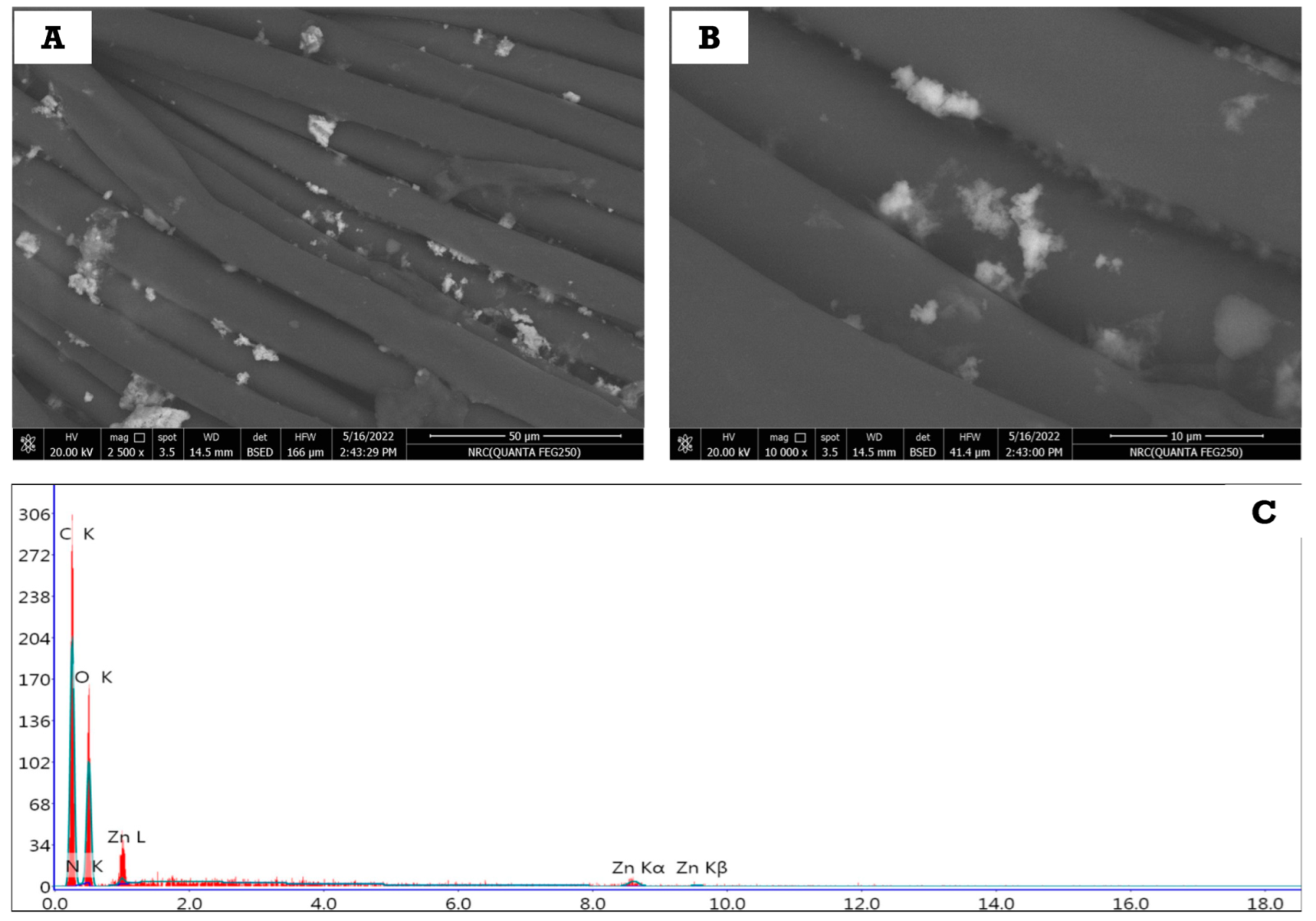 Polymers 14 02168 g007 550