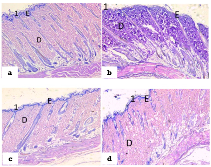 Polymers 14 02168 g010 550
