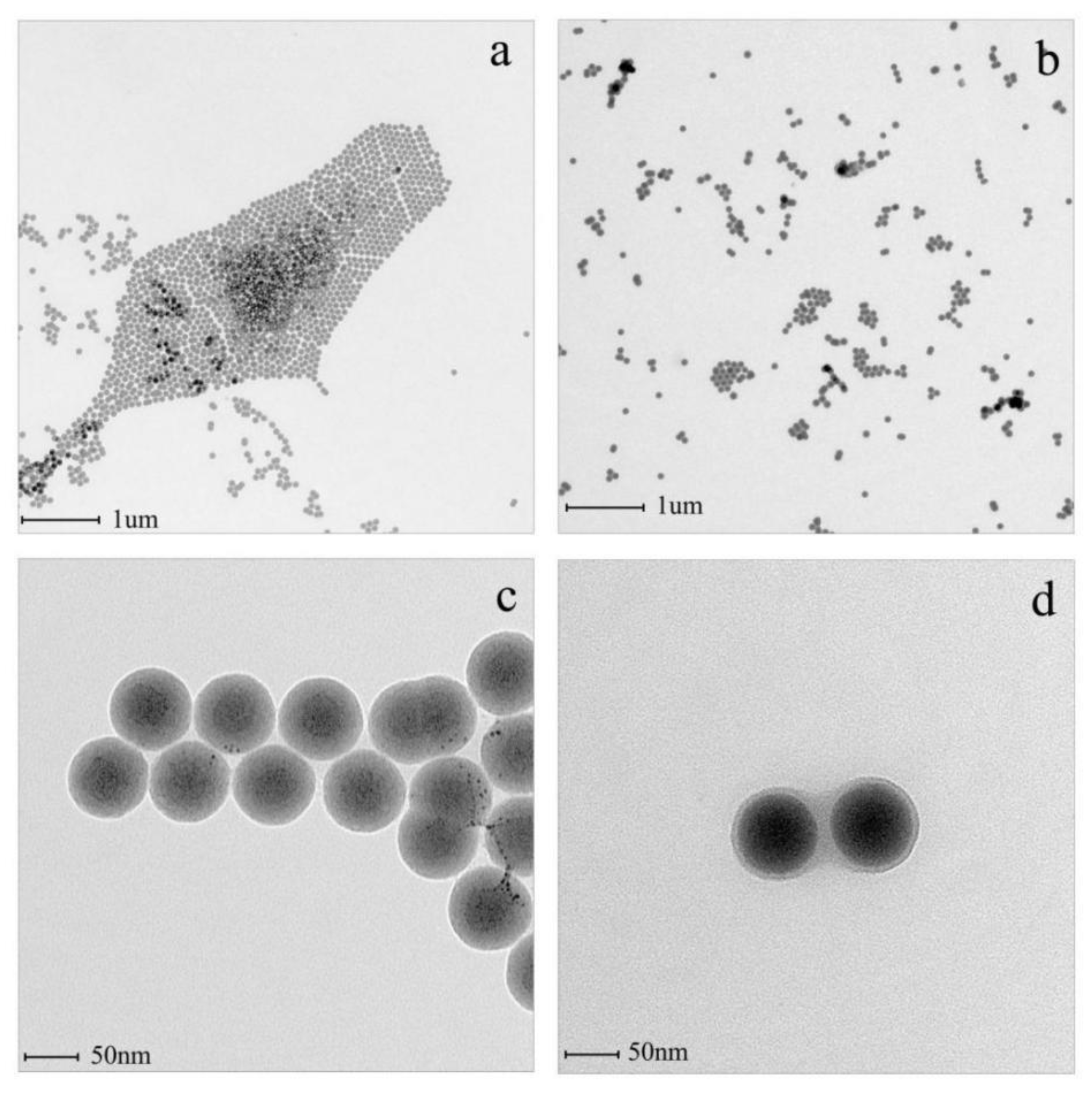 Polymers 14 02169 g003