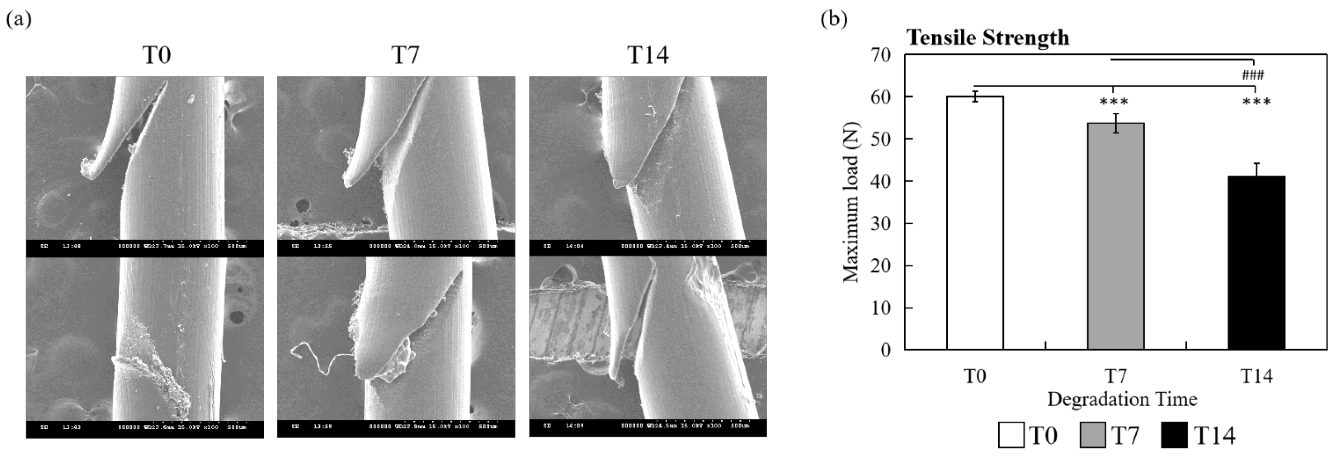 Polymers 14 02170 g004