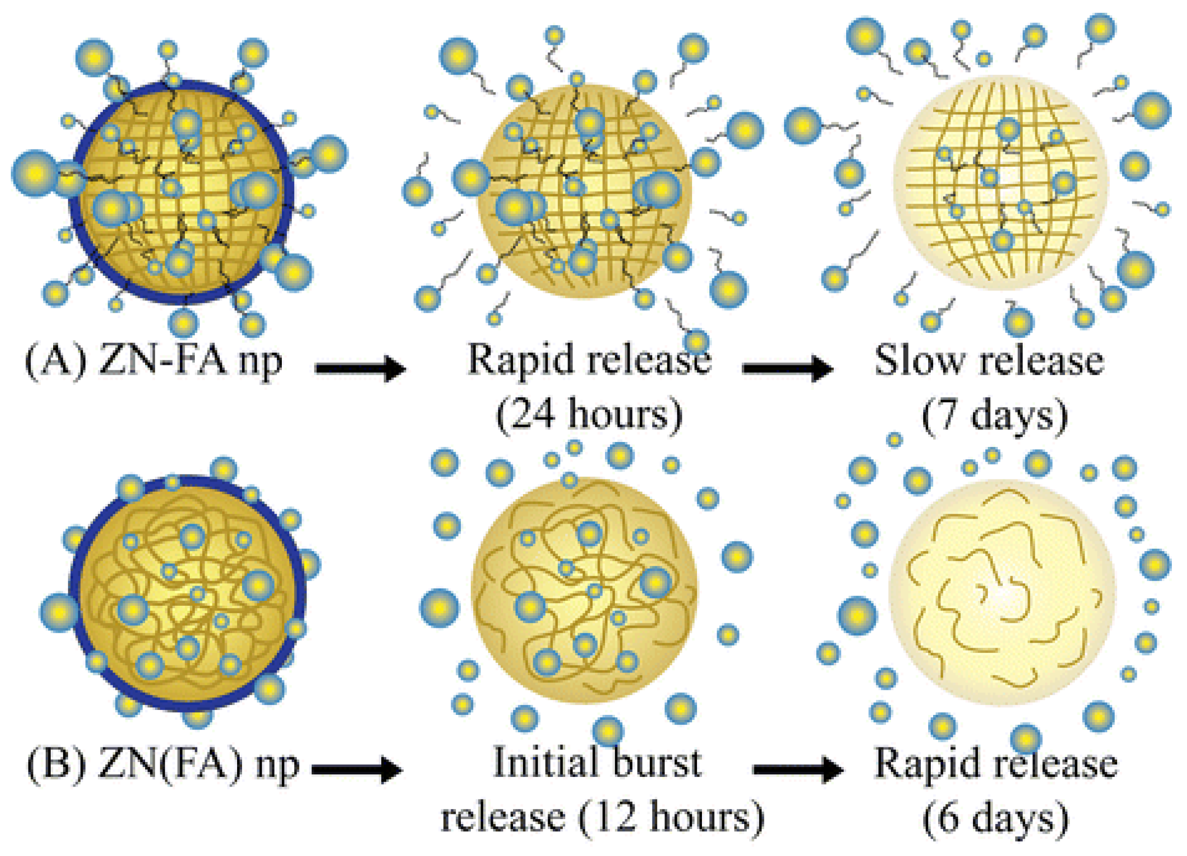 Polymers 14 02172 g003