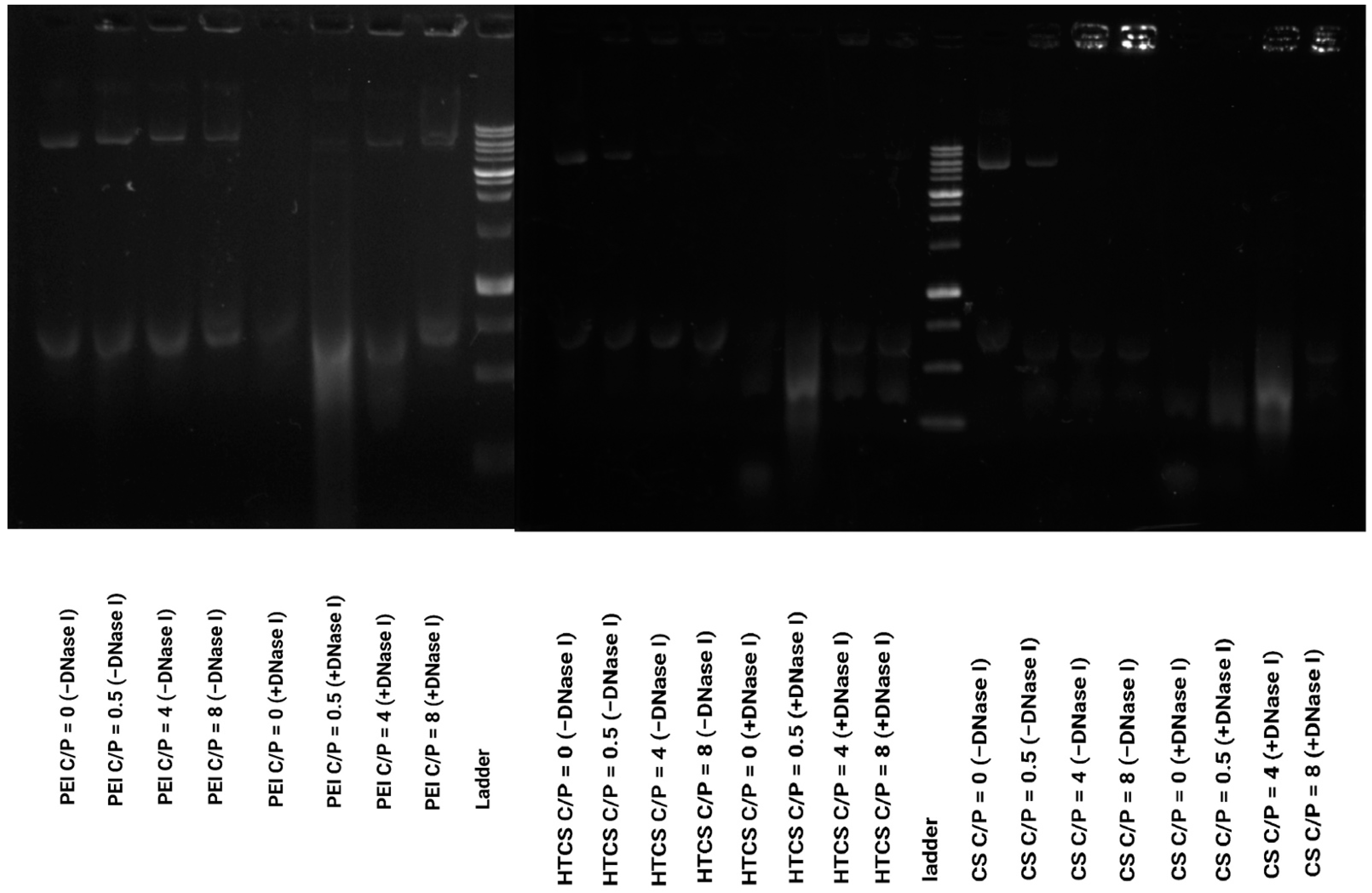 Polymers 14 02176 g005