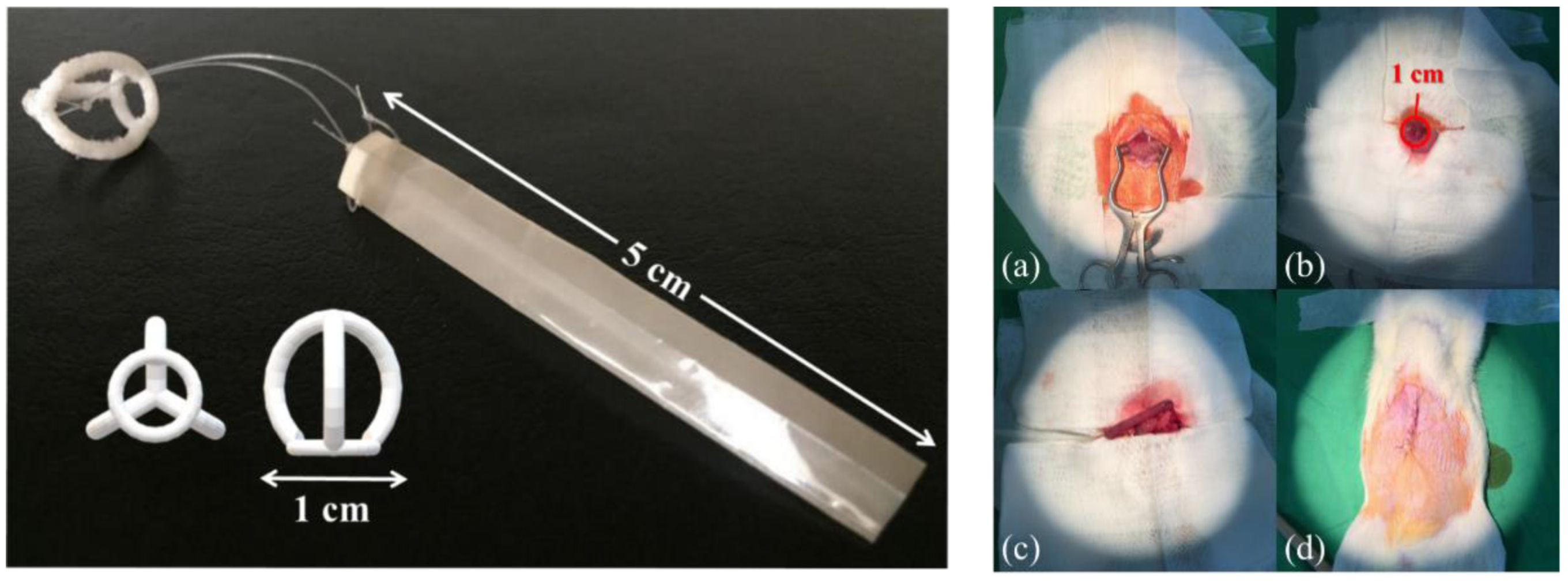 Polymers 14 02178 g002 550