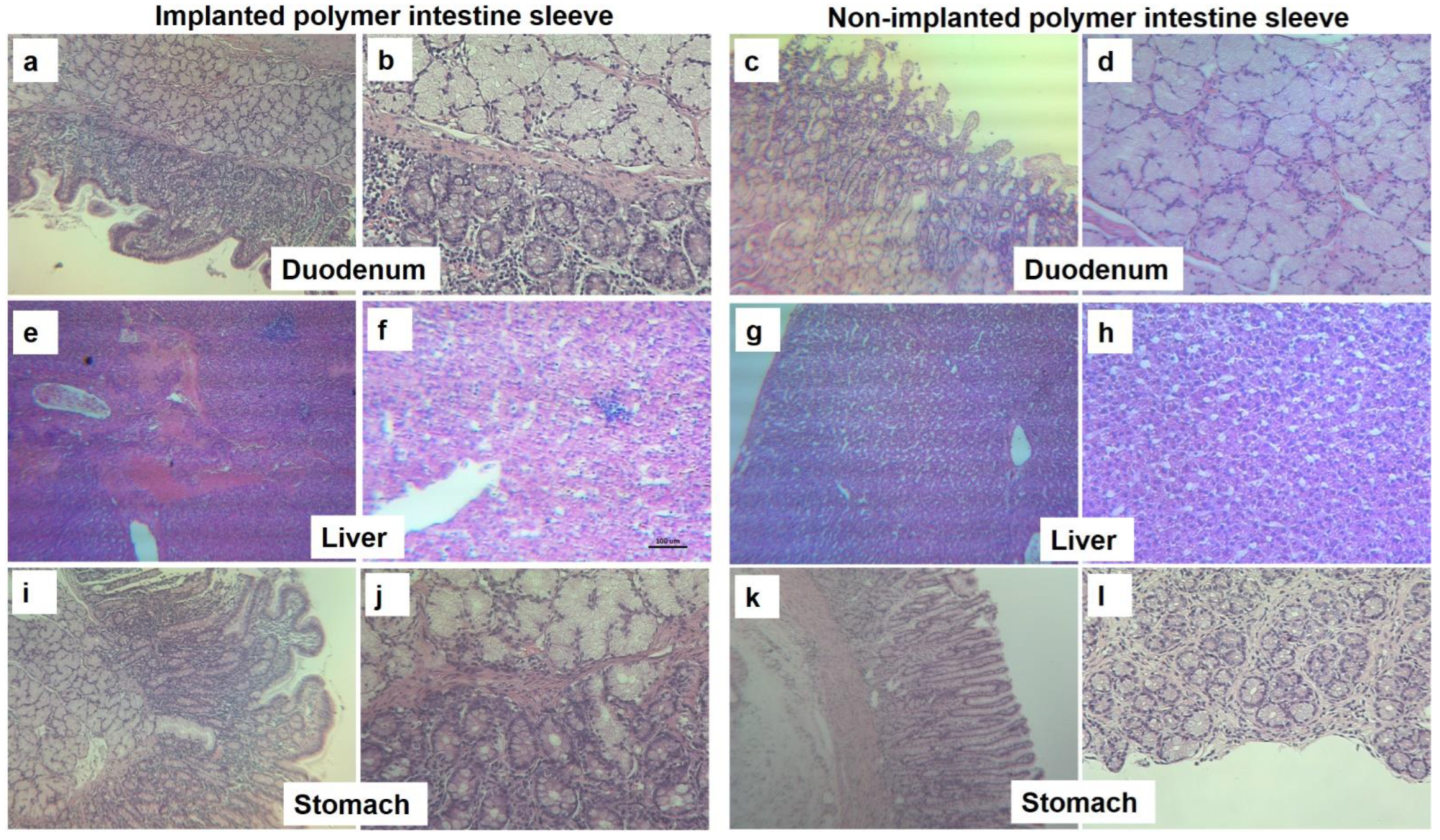 Polymers 14 02178 g008 550