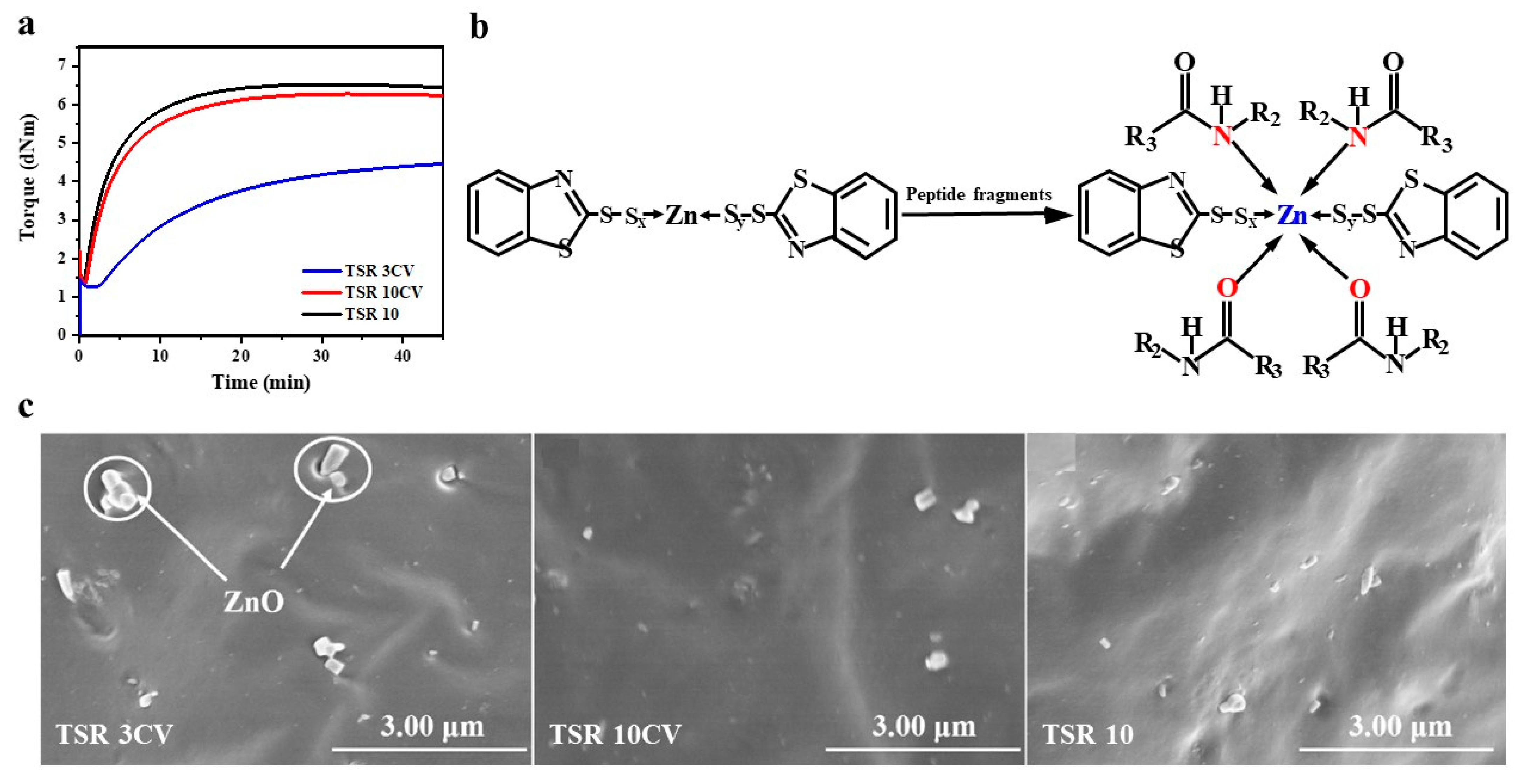 Polymers 14 02180 g002 550