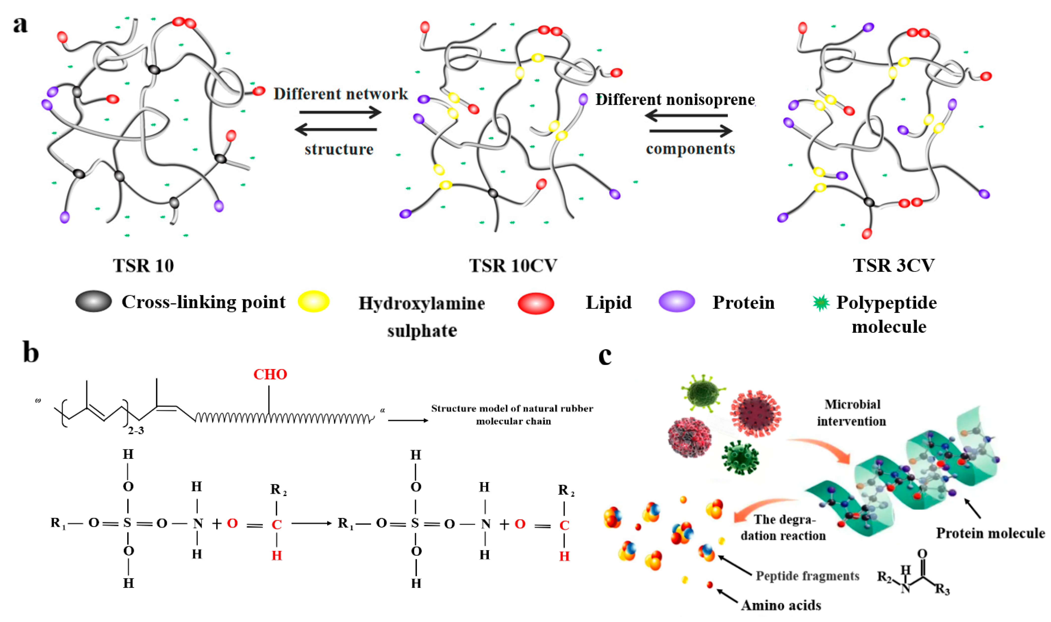 Polymers 14 02180 sch001 550