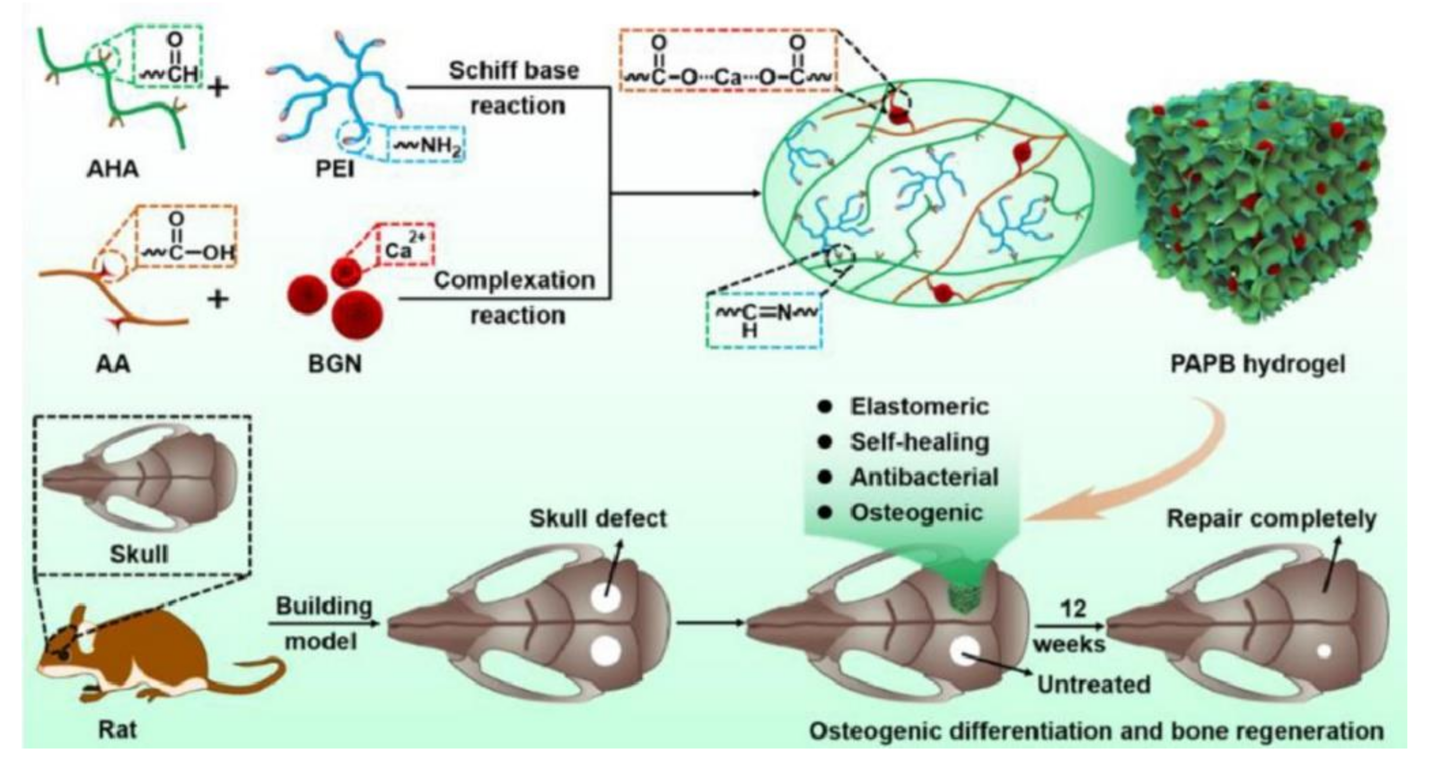 Polymers 14 02184 g003 550