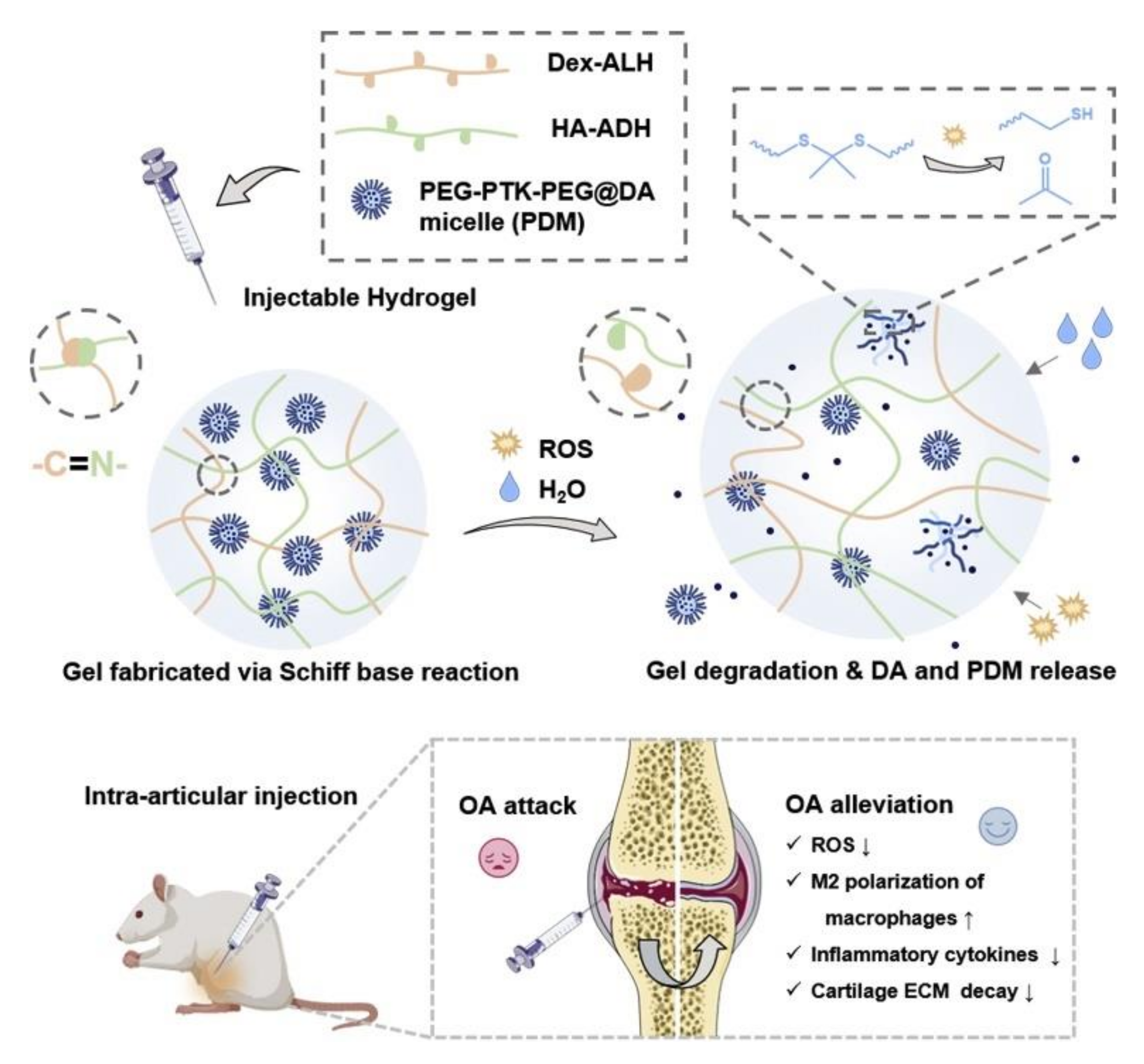 Polymers 14 02184 g004 550