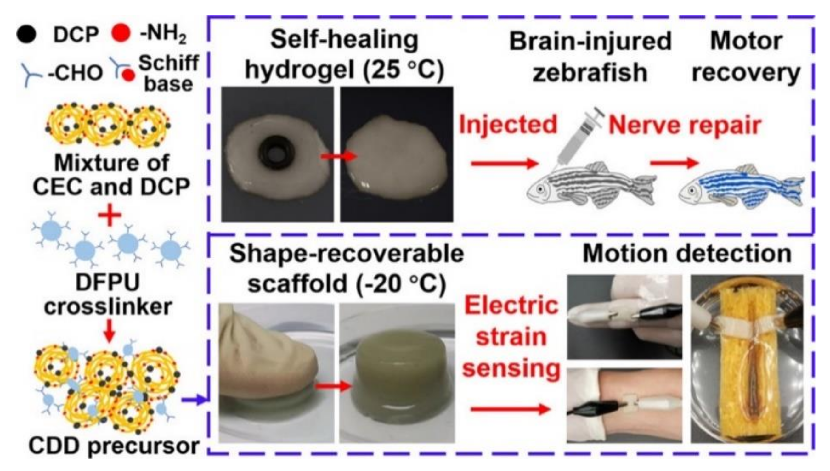 Polymers 14 02184 g007 550