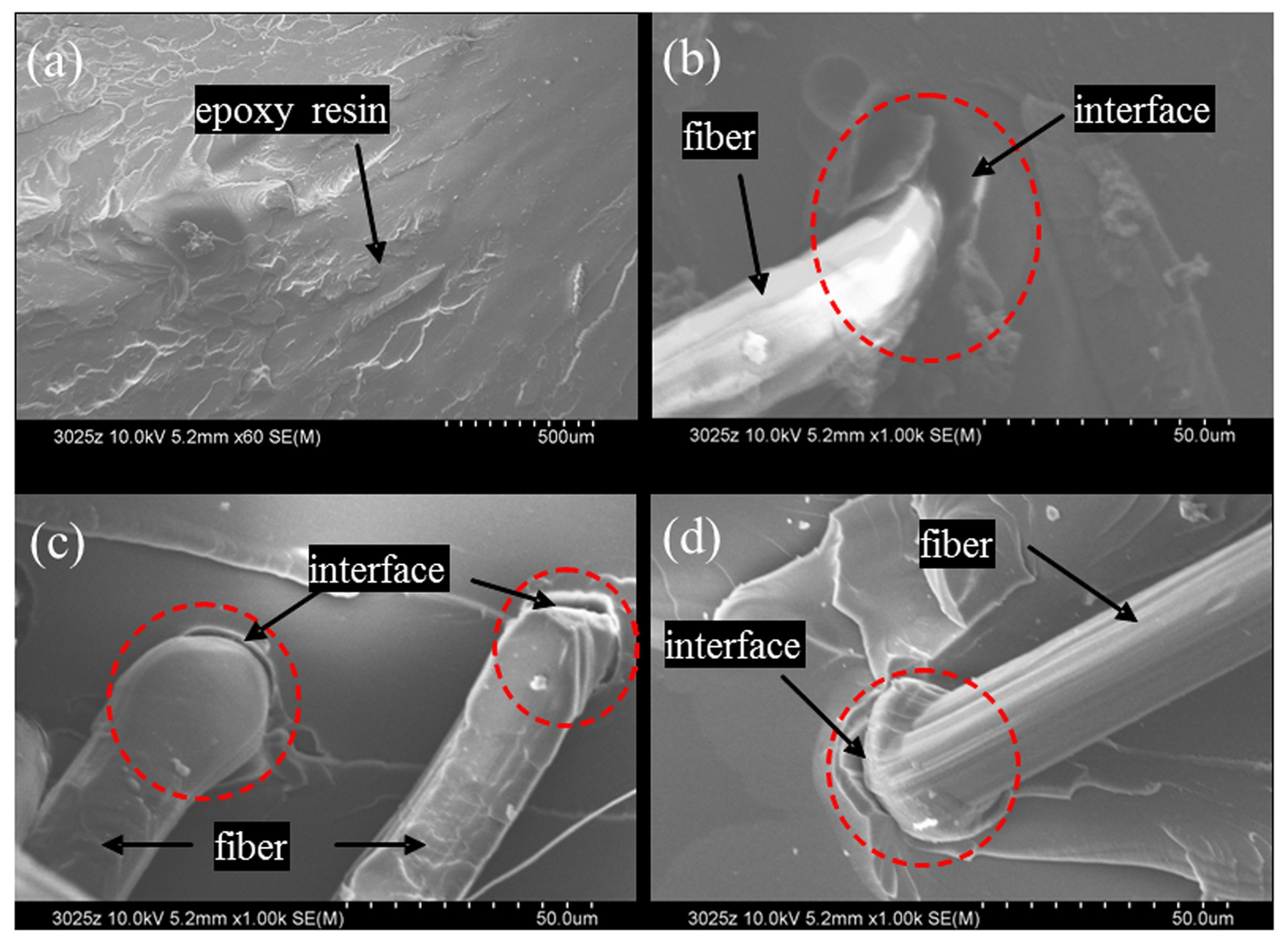 Polymers 14 02189 g004