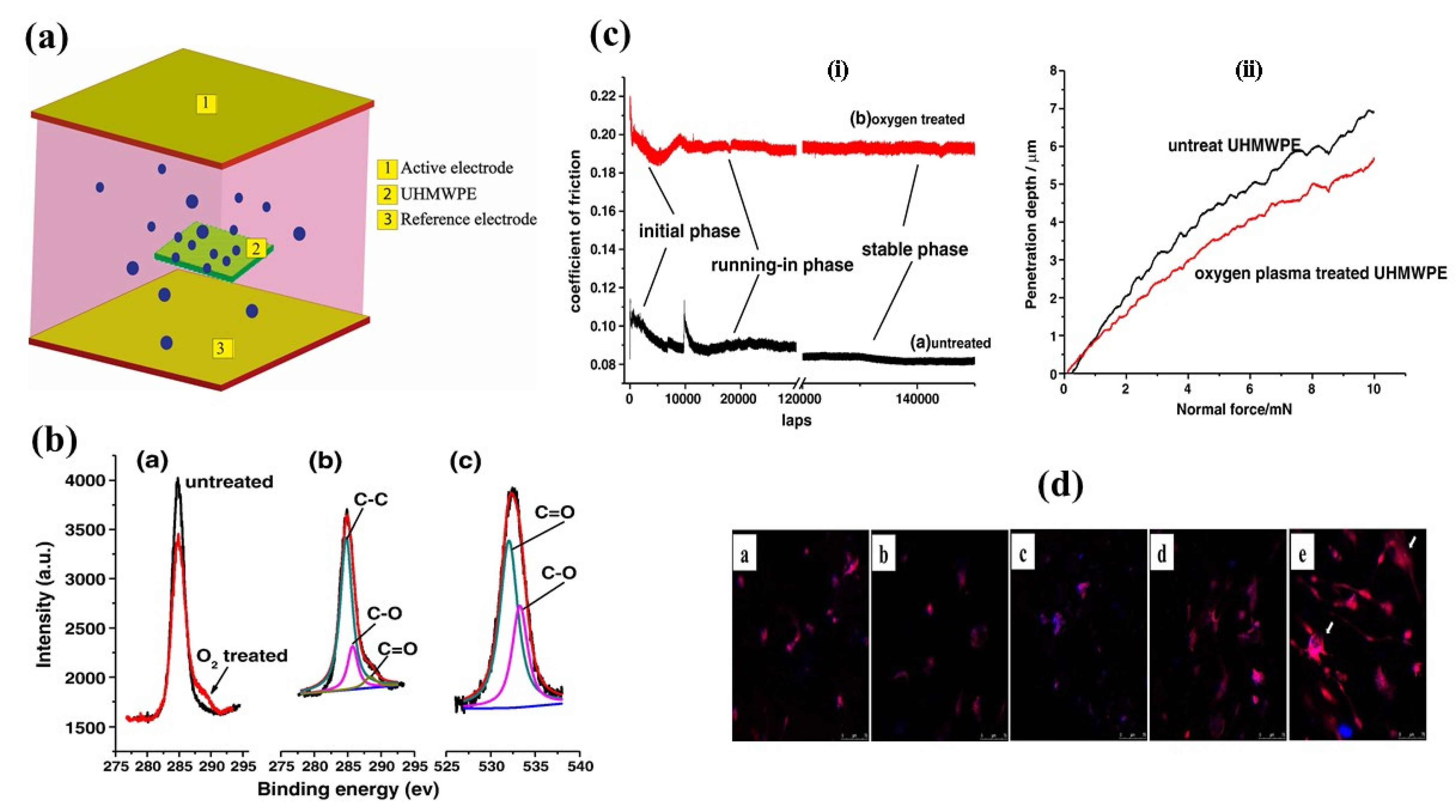 Polymers 14 02189 g008