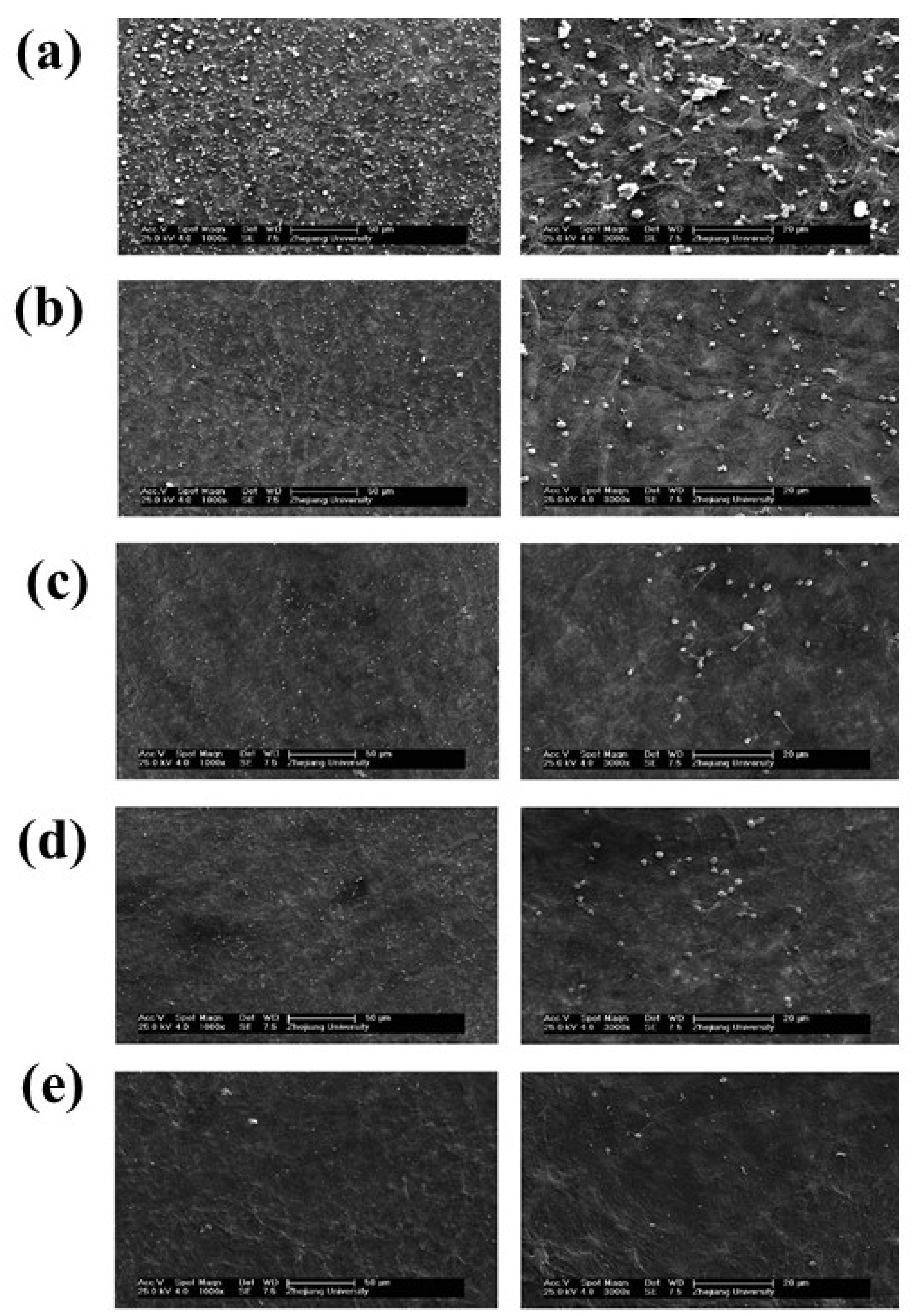 Polymers 14 02189 g011