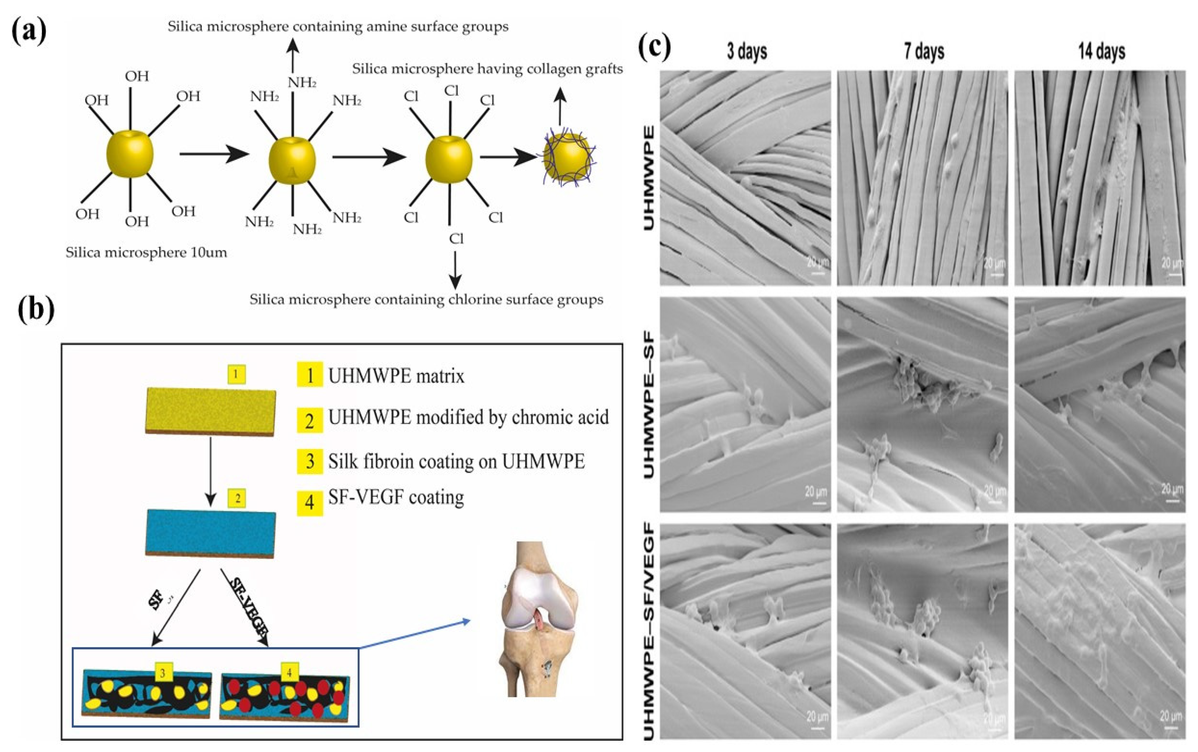 Polymers 14 02189 g013