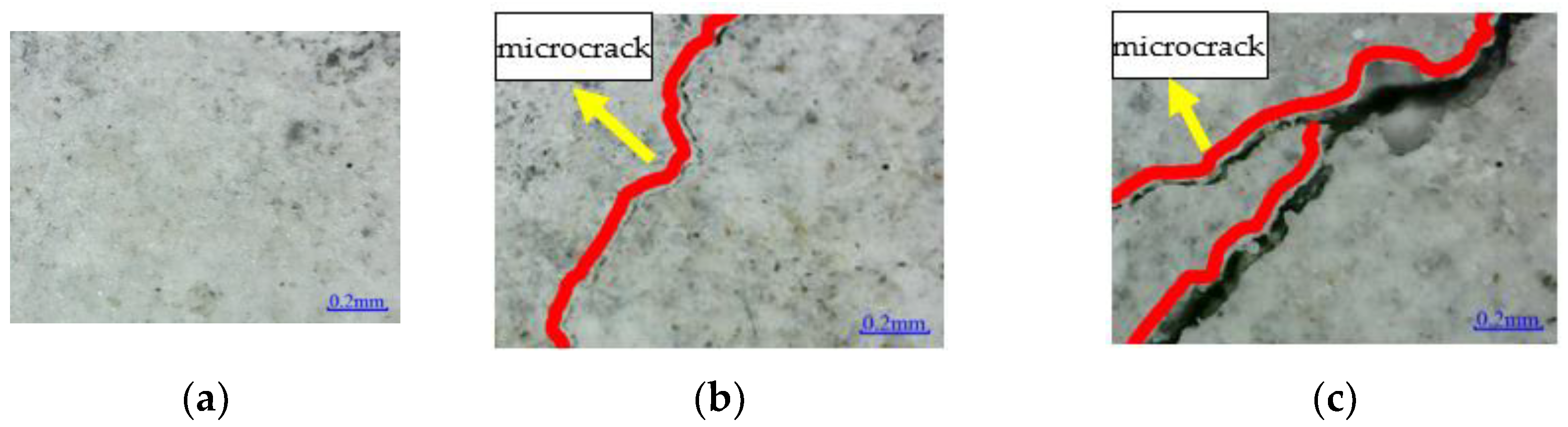 Polymers 14 02190 g019