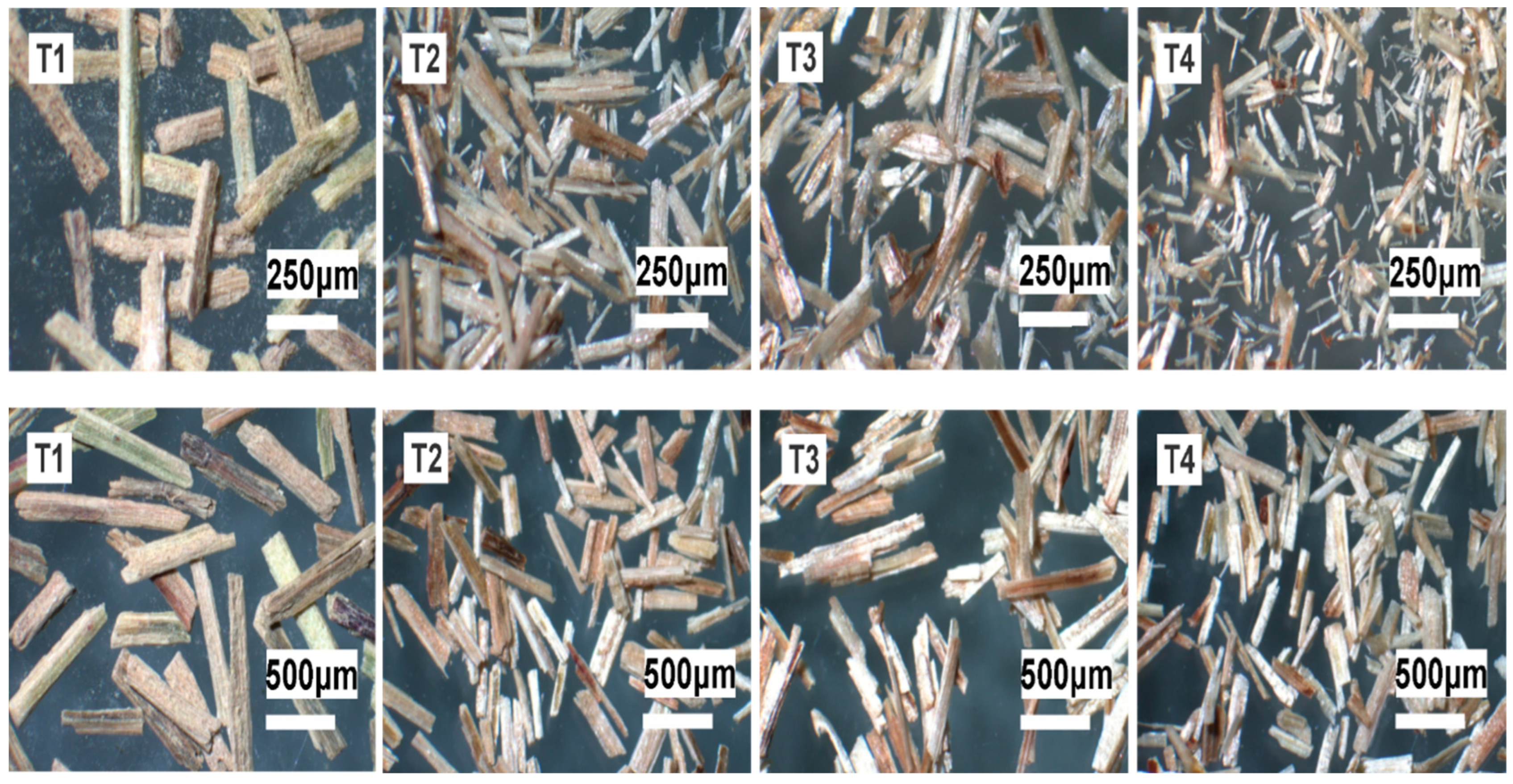 Polymers 14 02191 g010