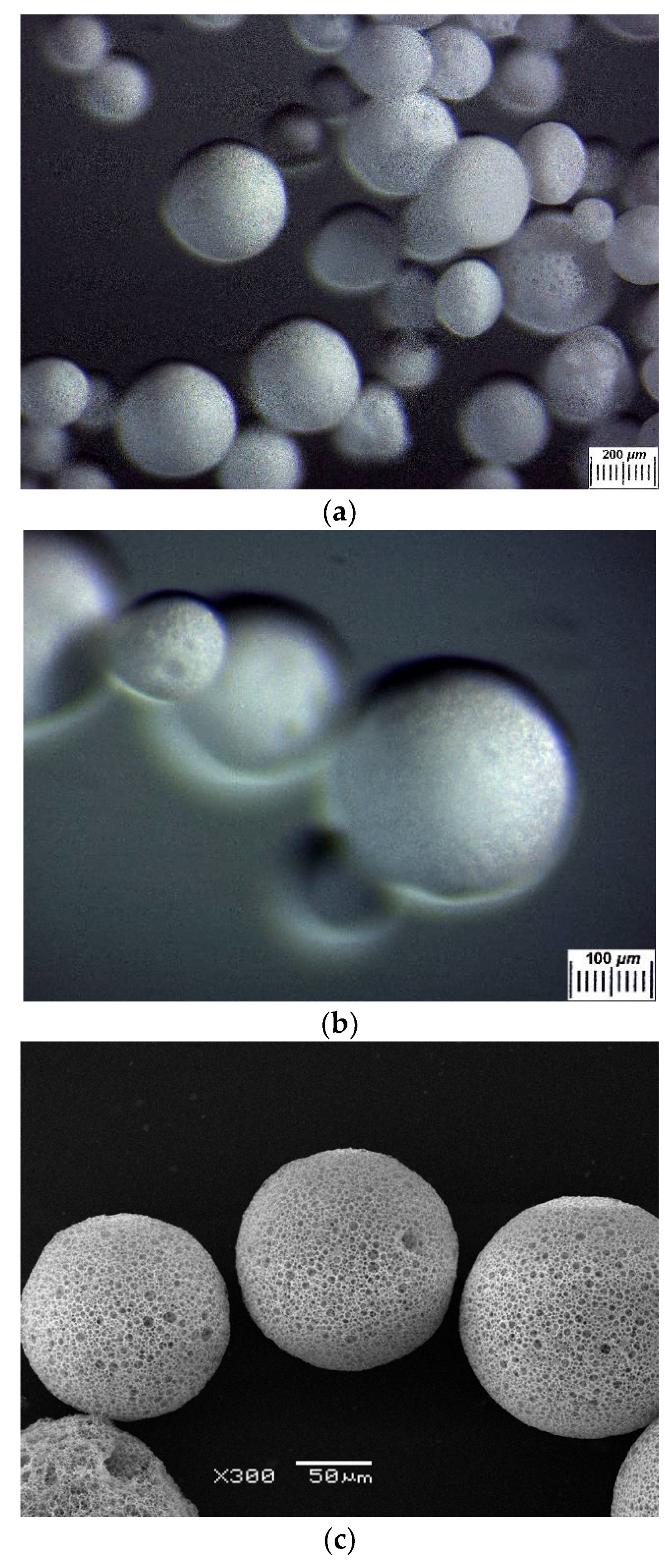 Polymers 14 02196 g001