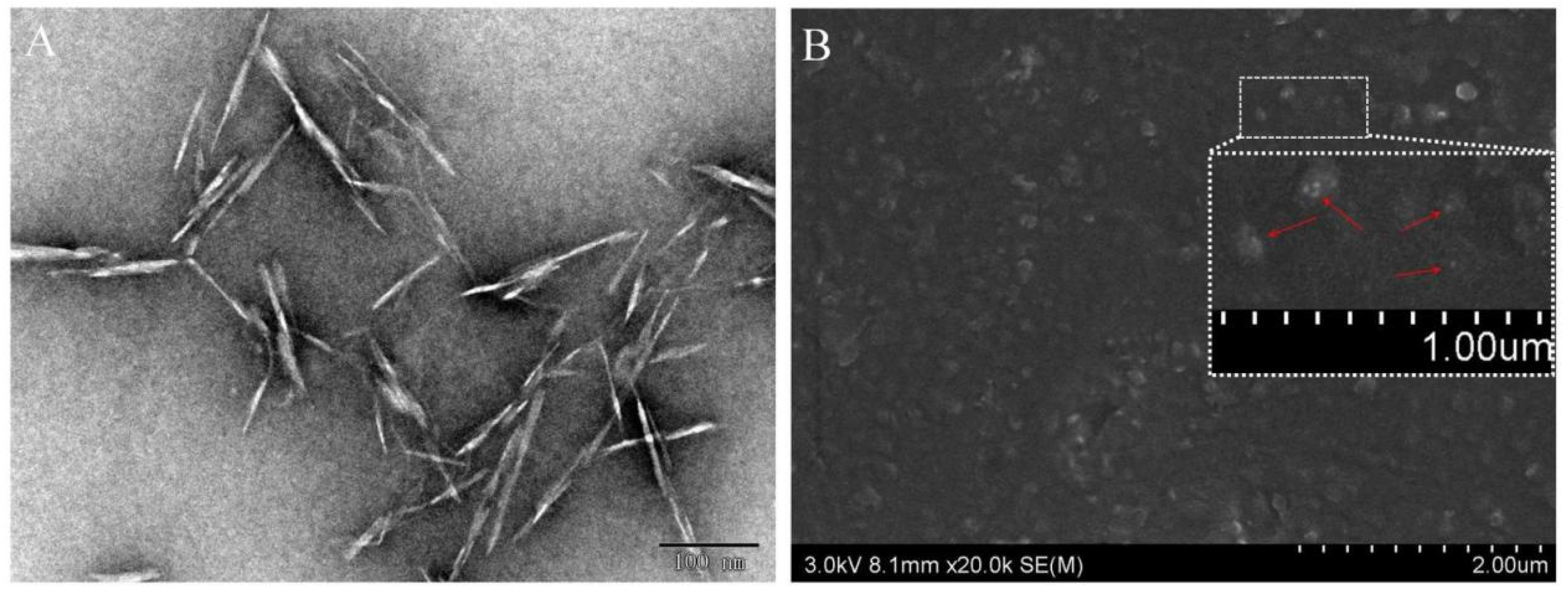 Polymers 14 02197 g004 550