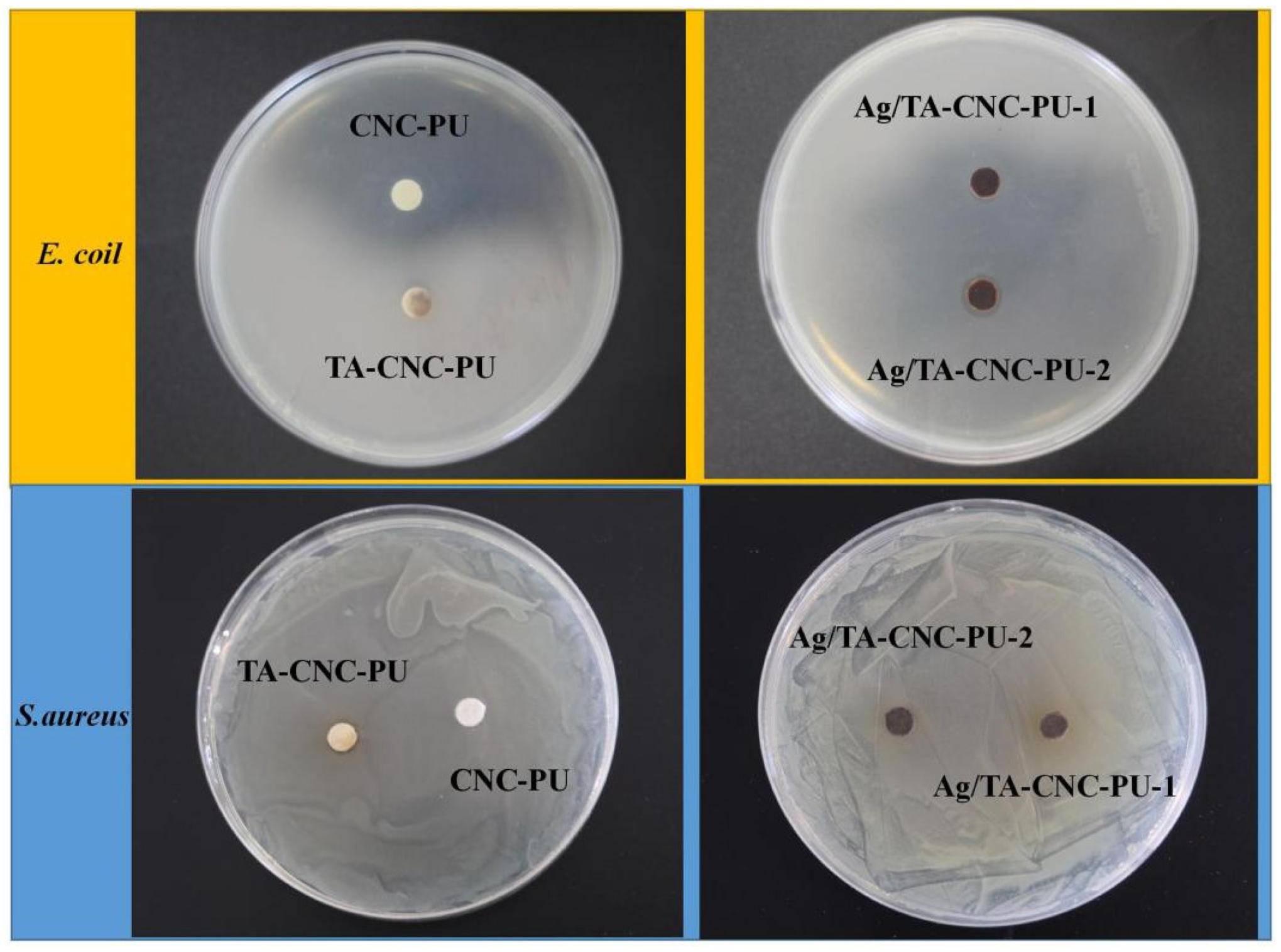 Polymers 14 02197 g007 550