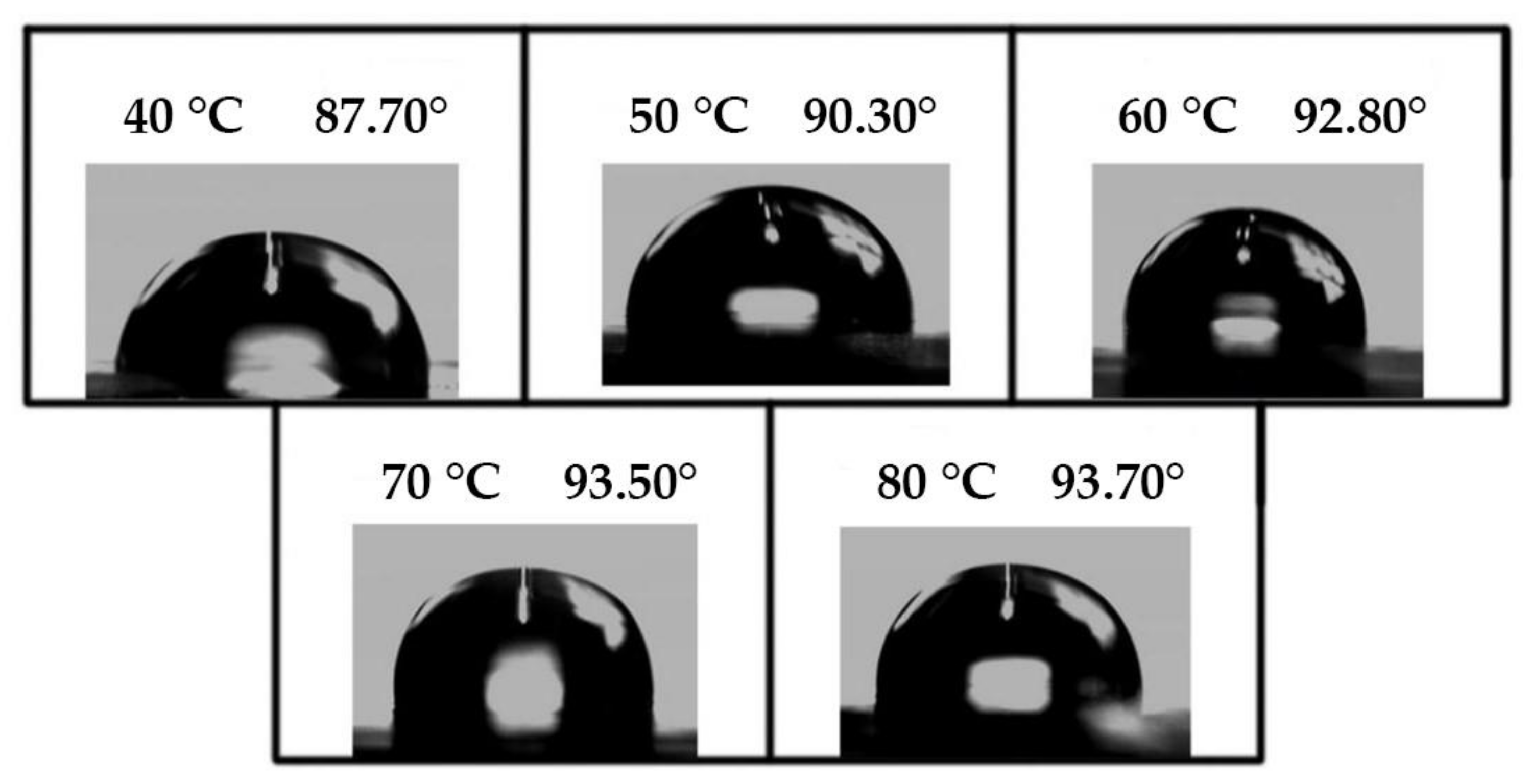 Polymers 14 02201 g016 550
