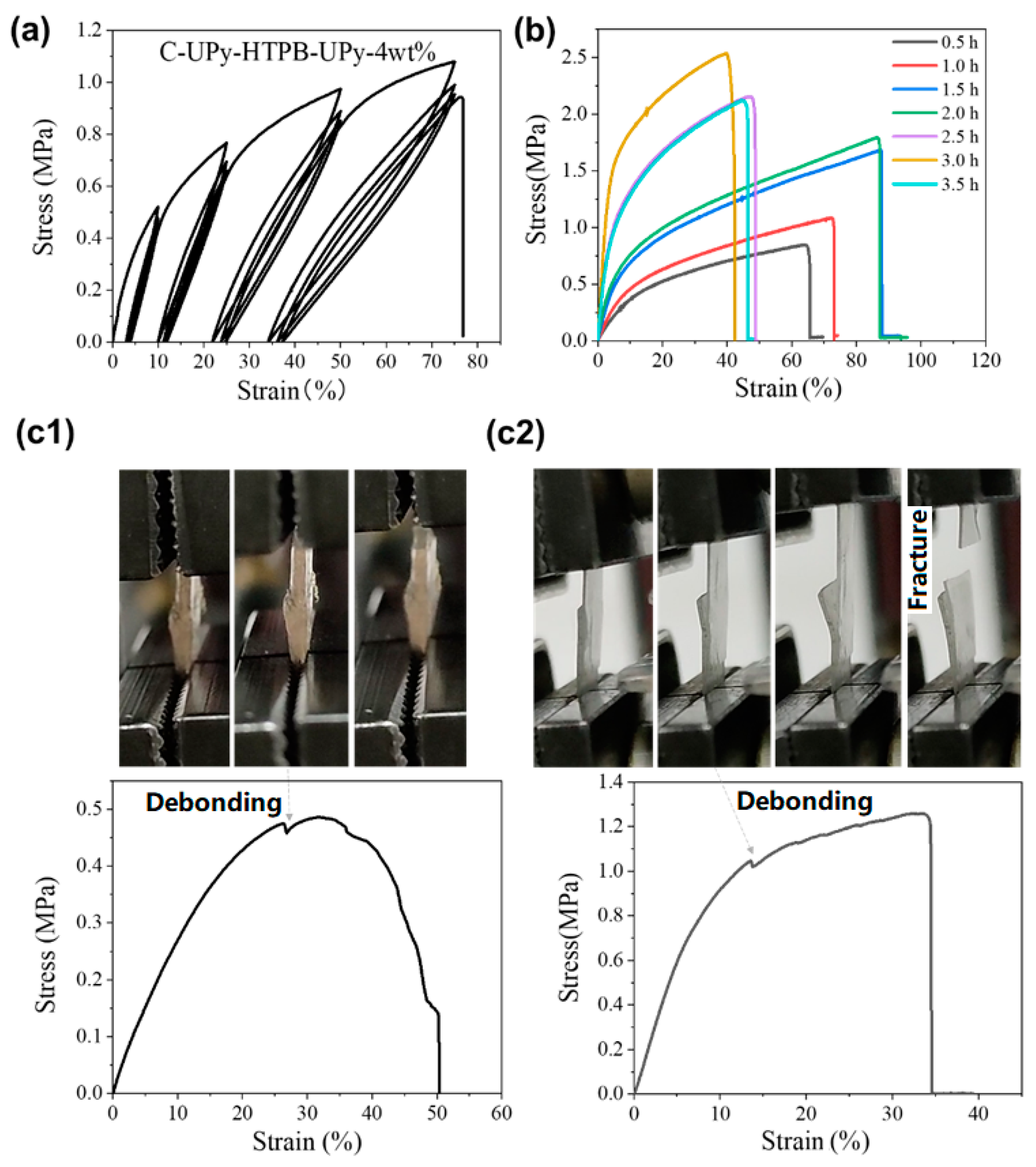 Polymers 14 02203 g004