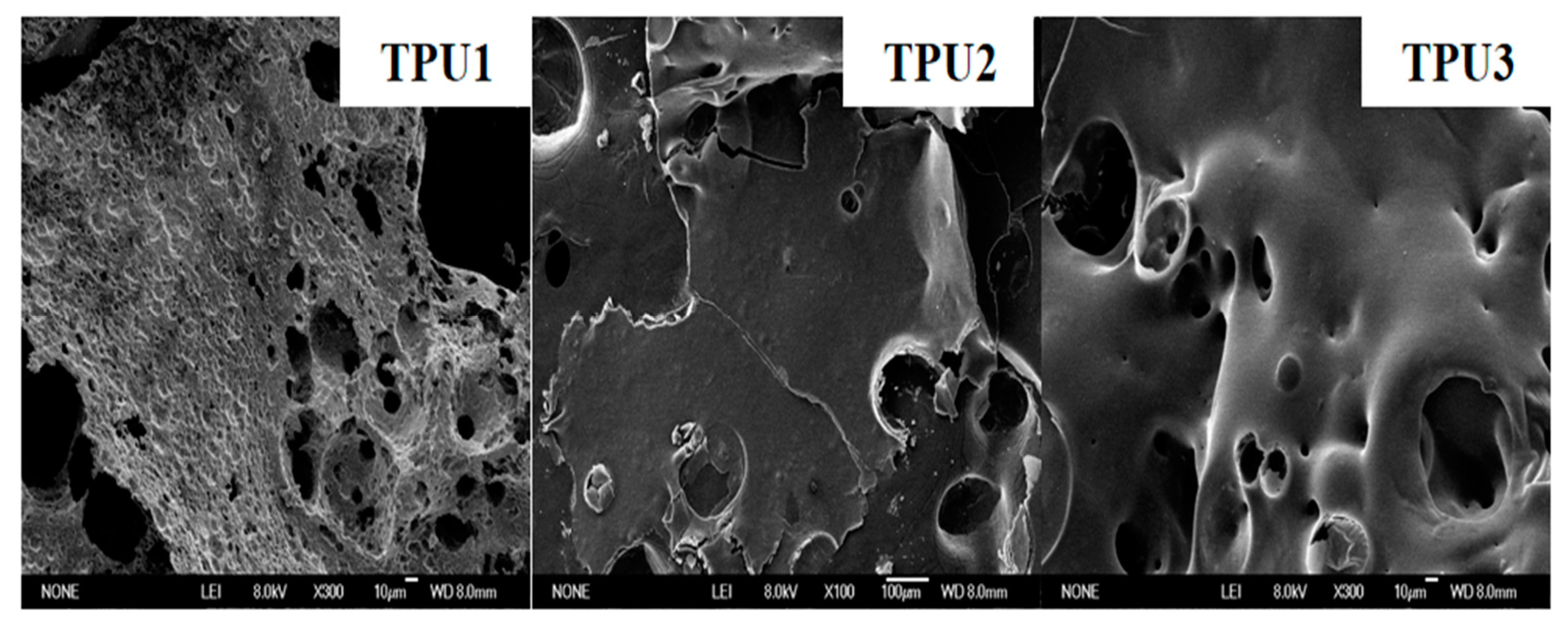 Polymers 14 02204 g011 550