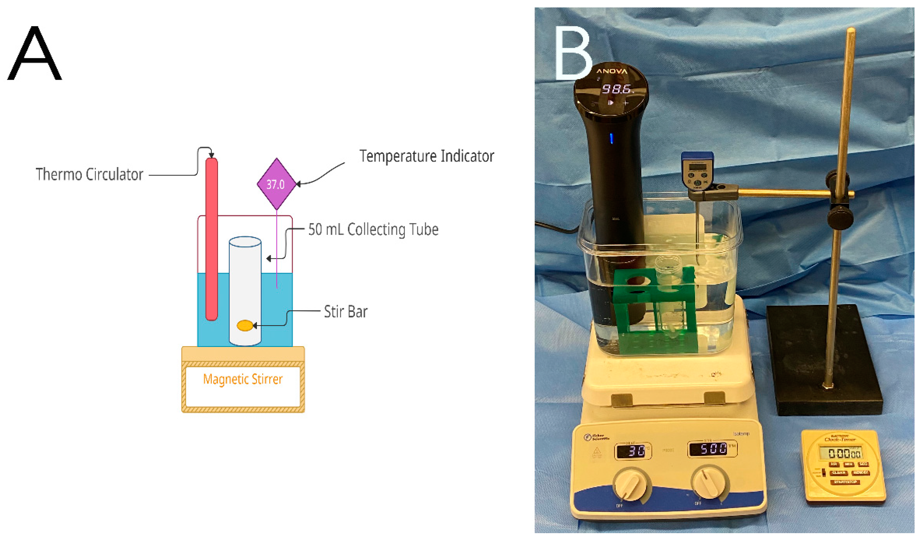 Polymers 14 02207 g002 550