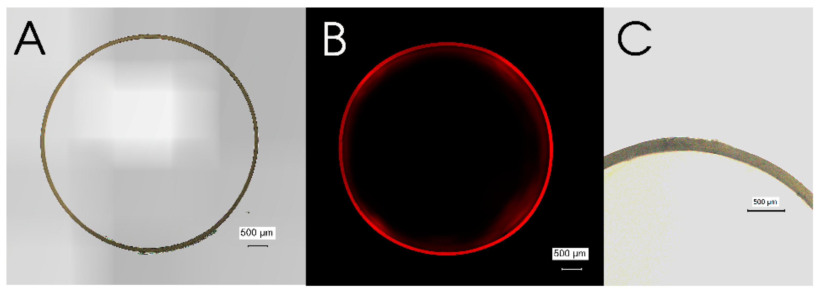 Polymers 14 02207 g004 550