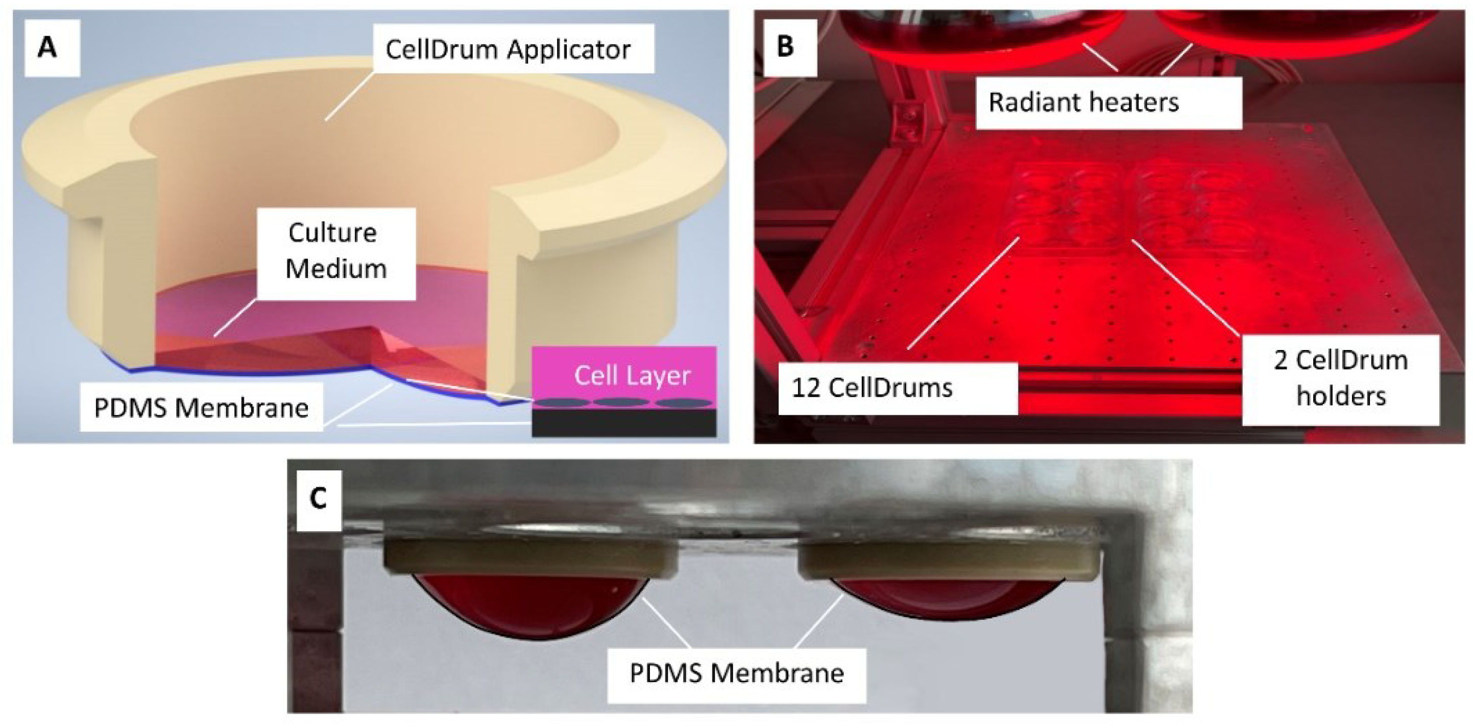 Polymers 14 02213 g001 550