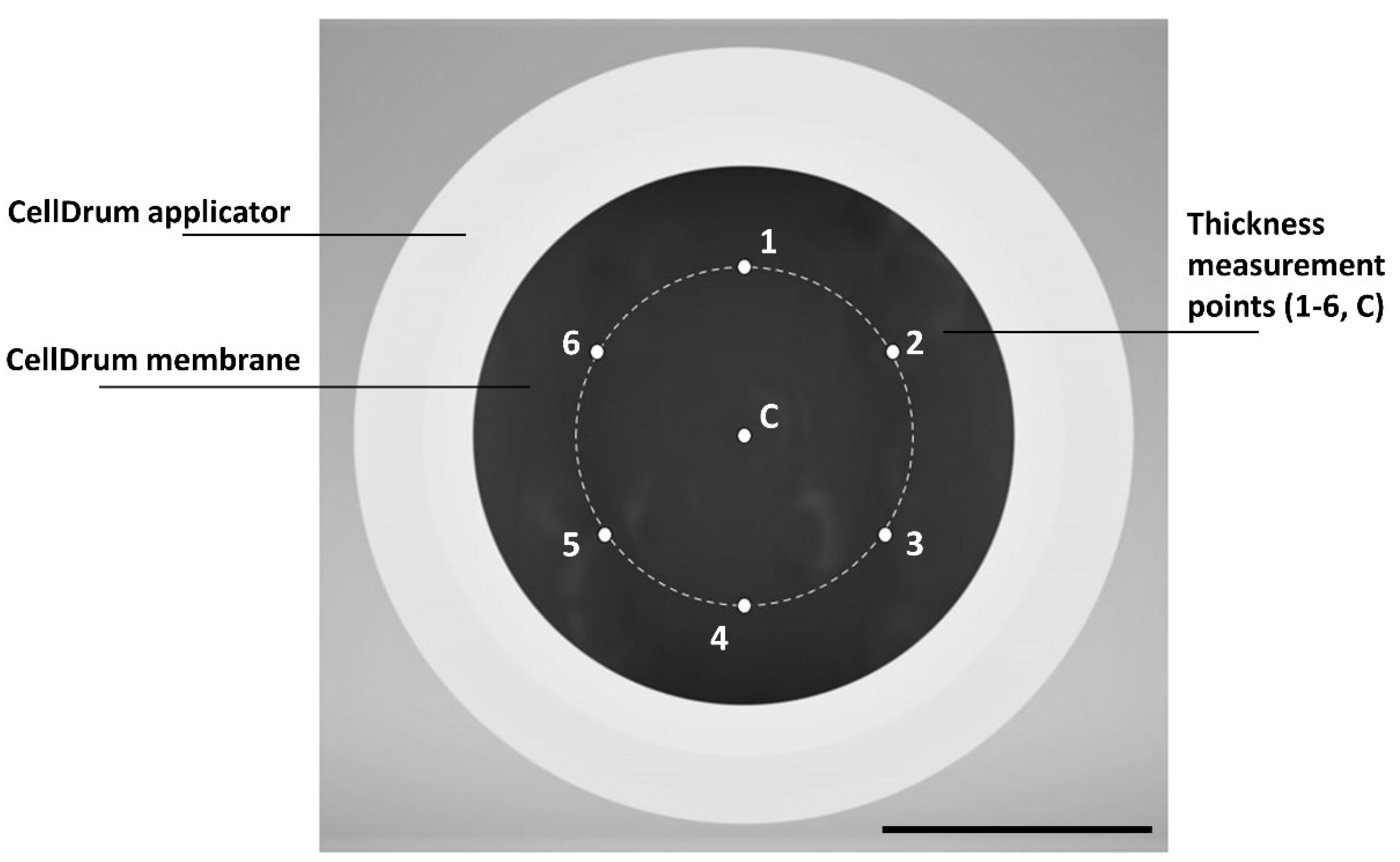 Polymers 14 02213 g002 550