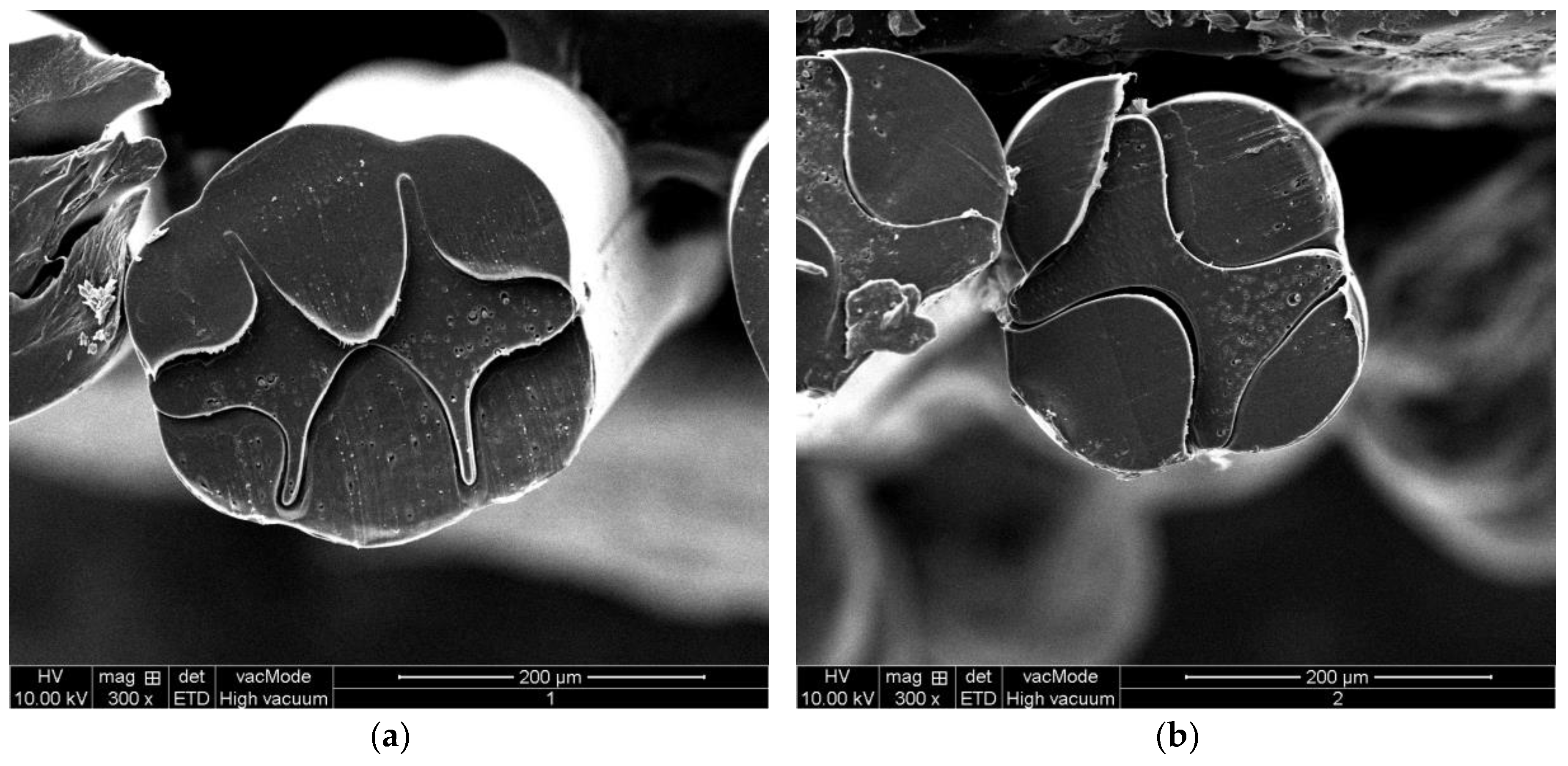 Polymers 14 02216 g012