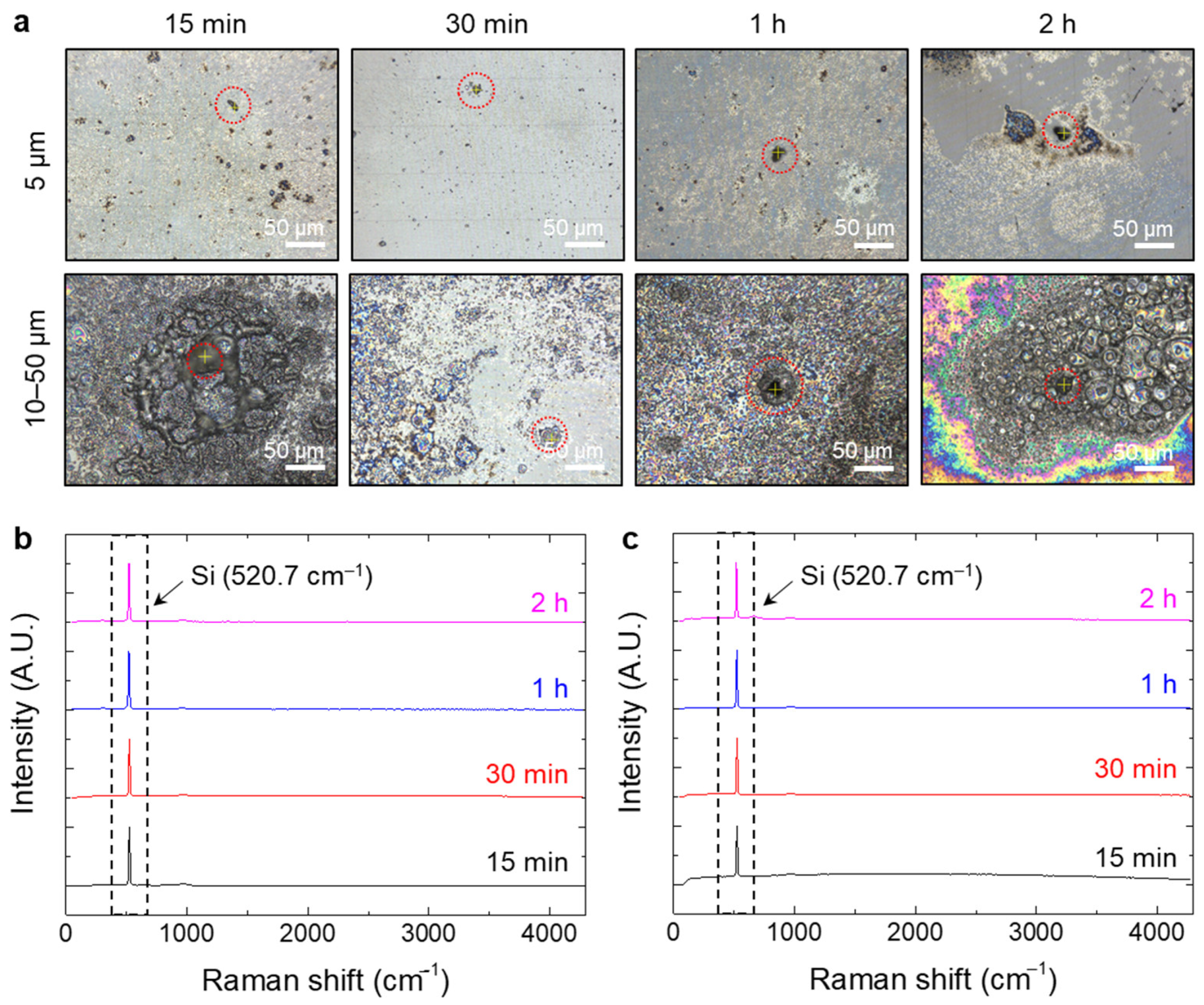 Polymers 14 02220 g006
