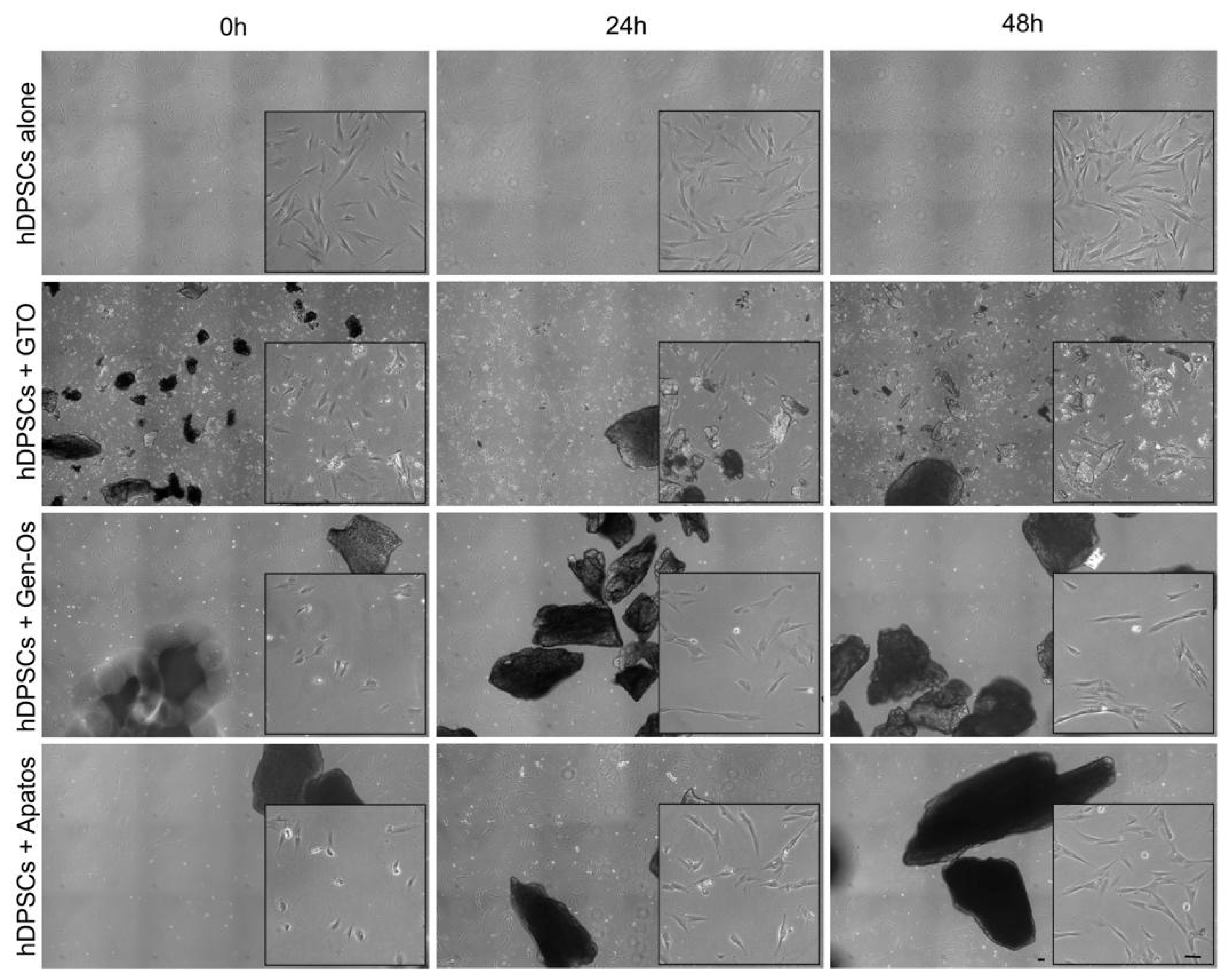 Polymers 14 02223 g001 550