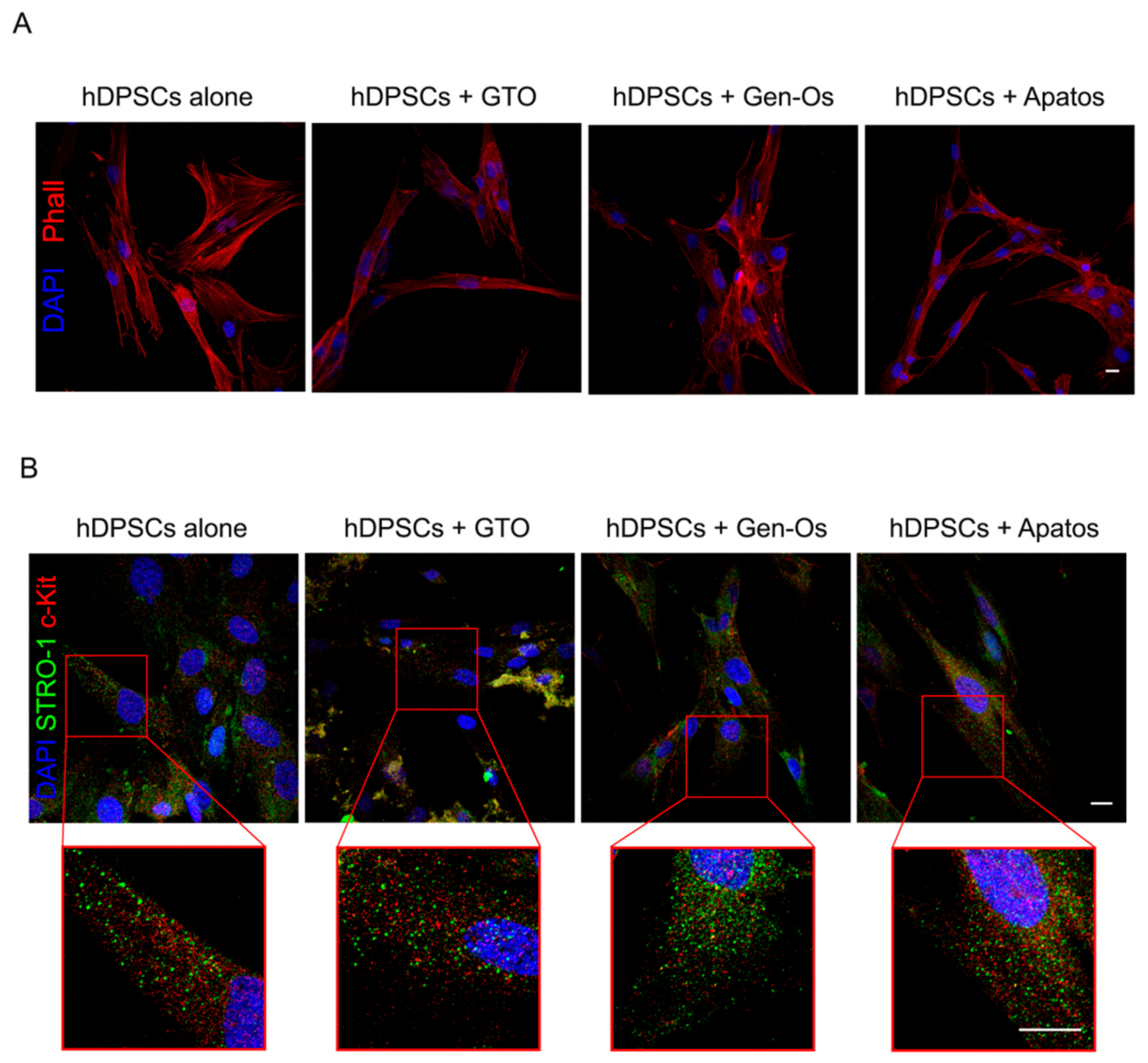 Polymers 14 02223 g002 550