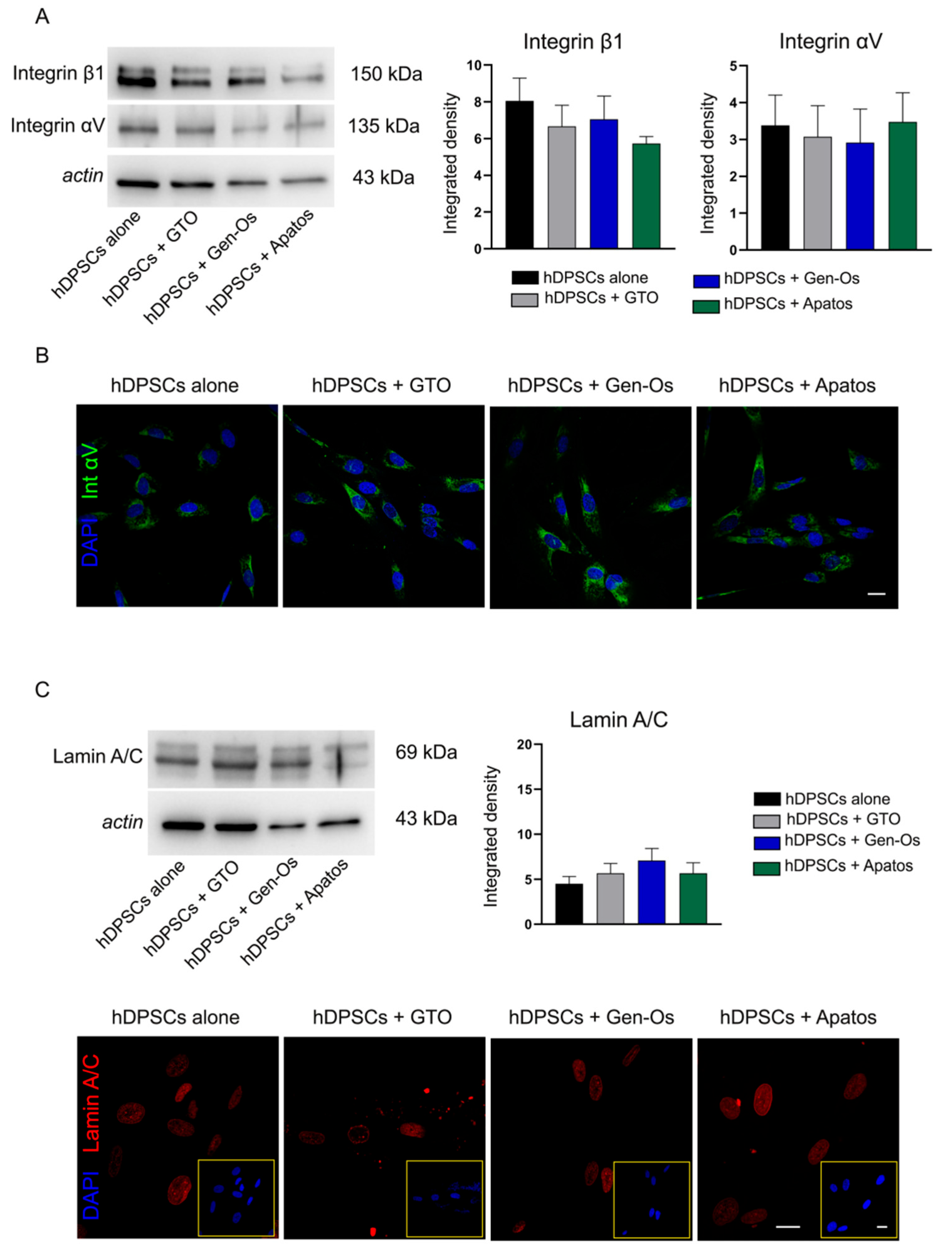 Polymers 14 02223 g004 550