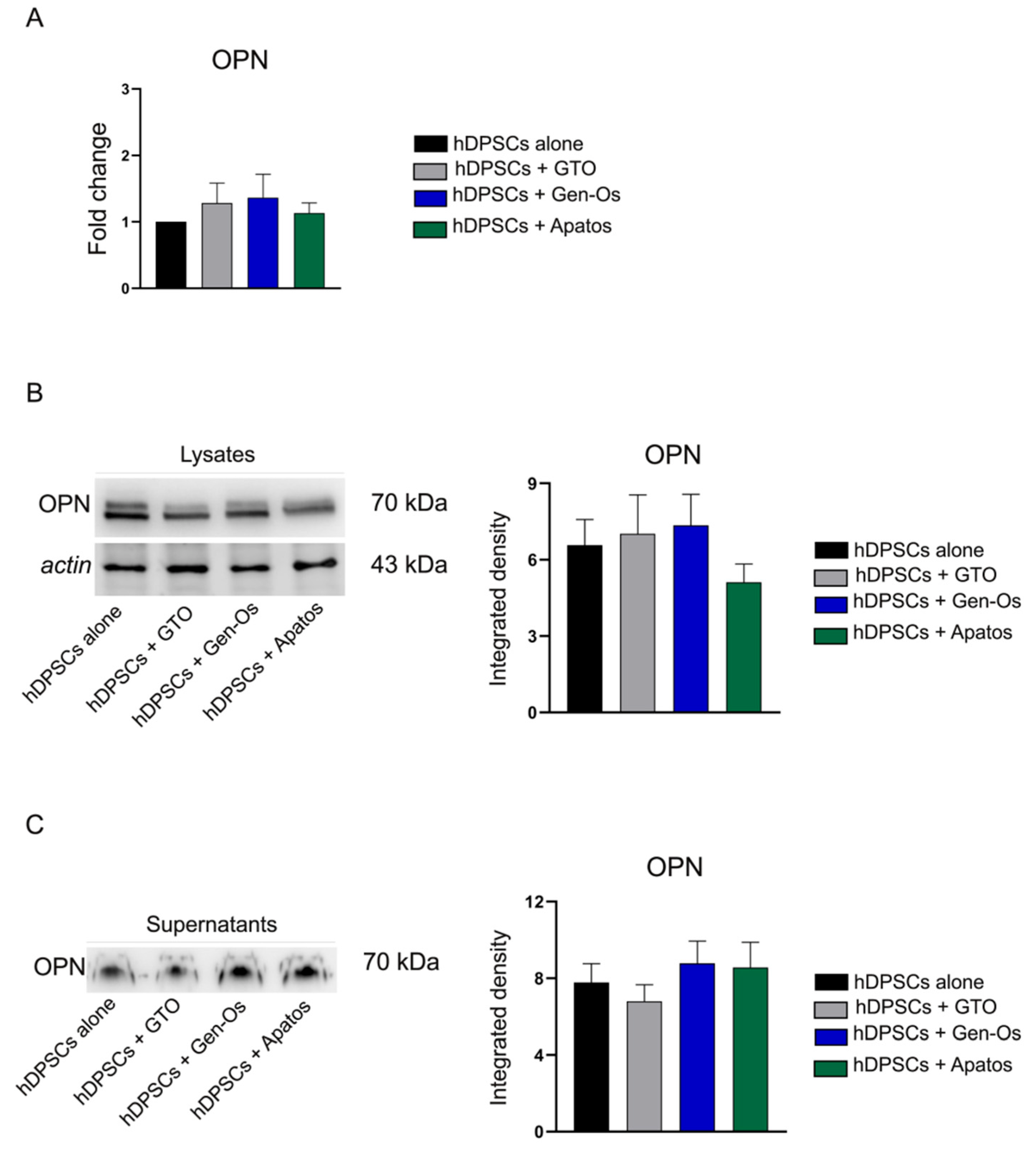 Polymers 14 02223 g005 550